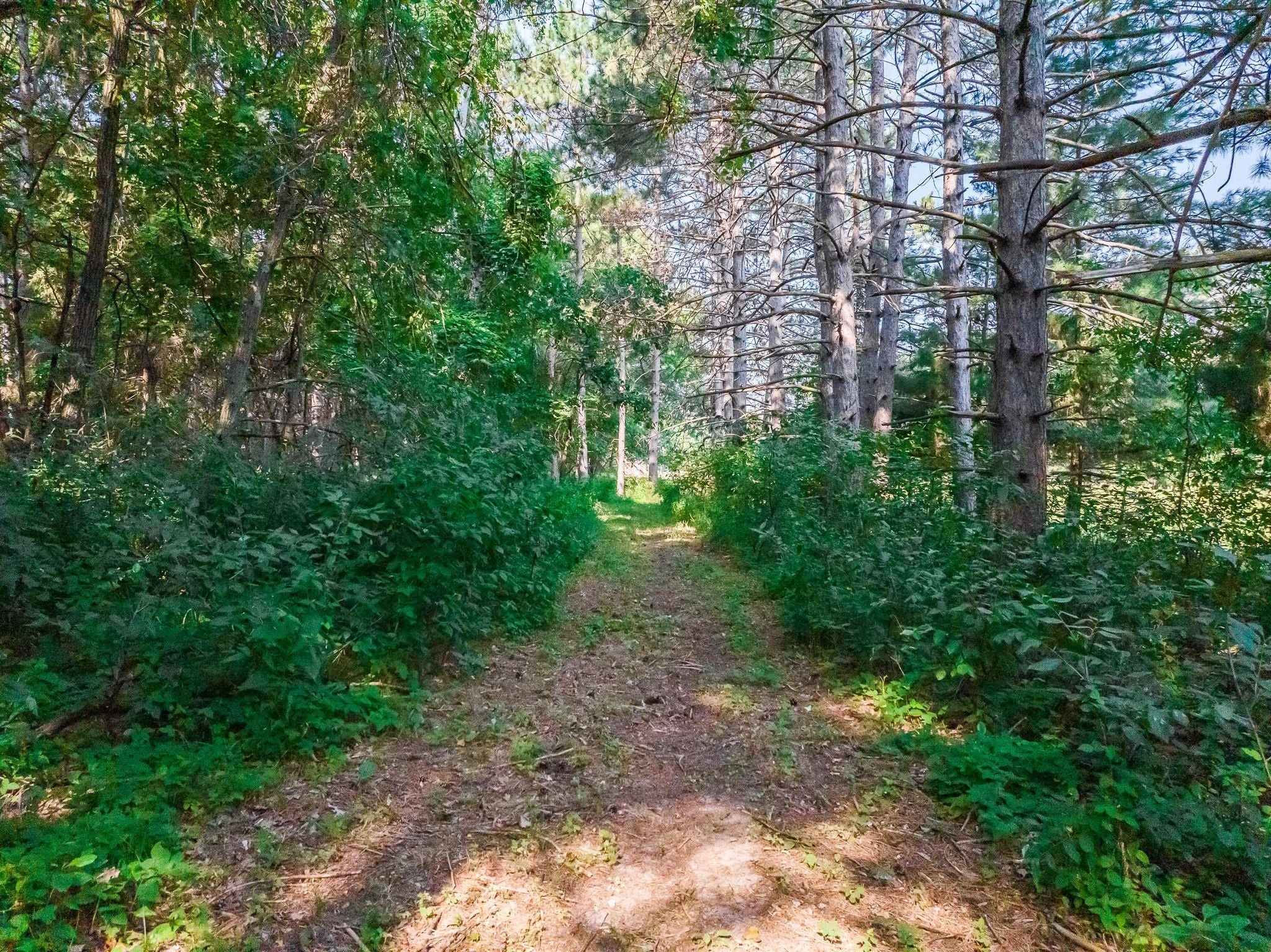 165 150th LN NW, Andover, MN 55304