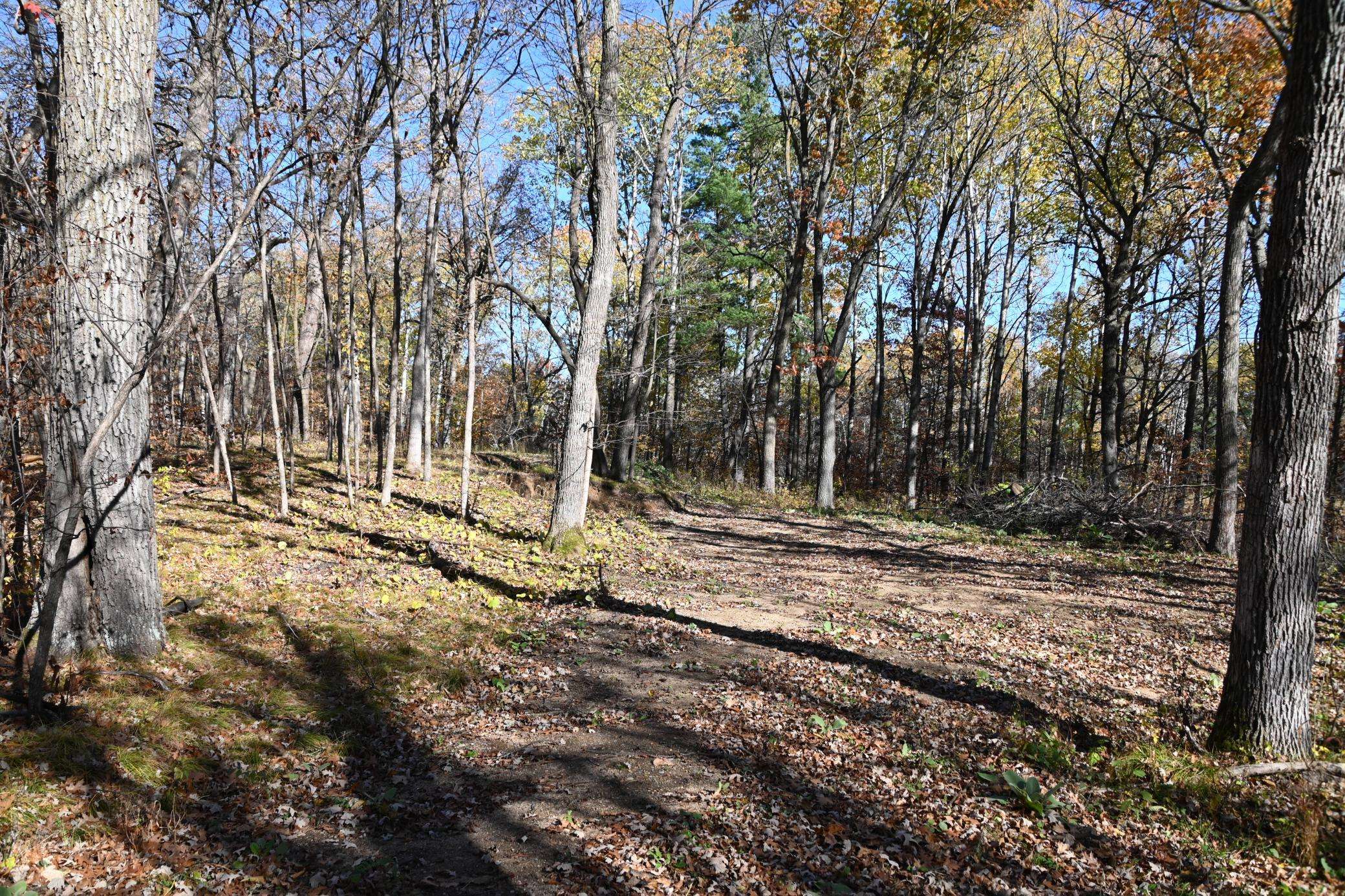 39884 Pine Island Pt DR, Browerville, MN 56438