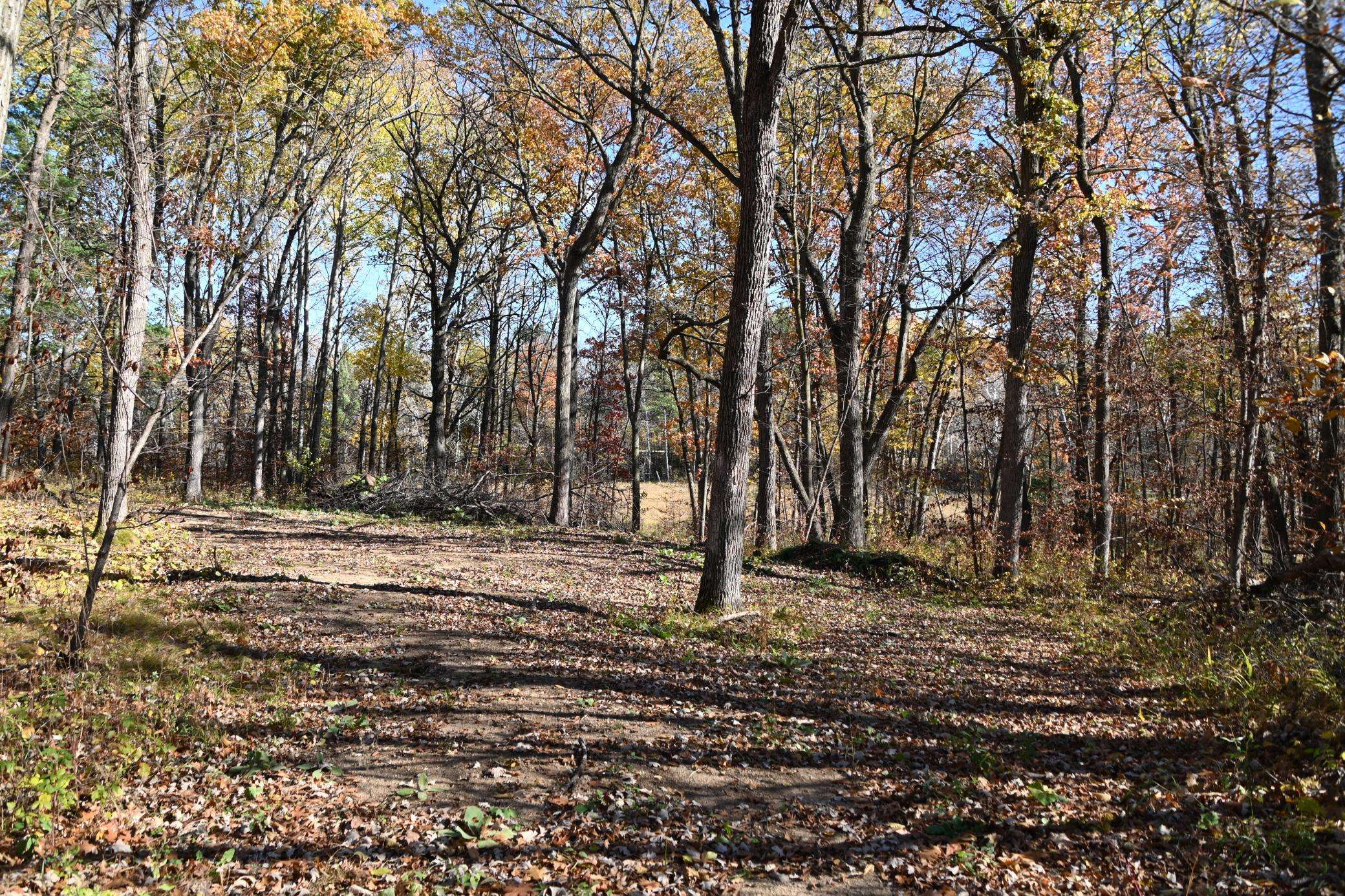 39884 Pine Island Pt DR, Browerville, MN 56438