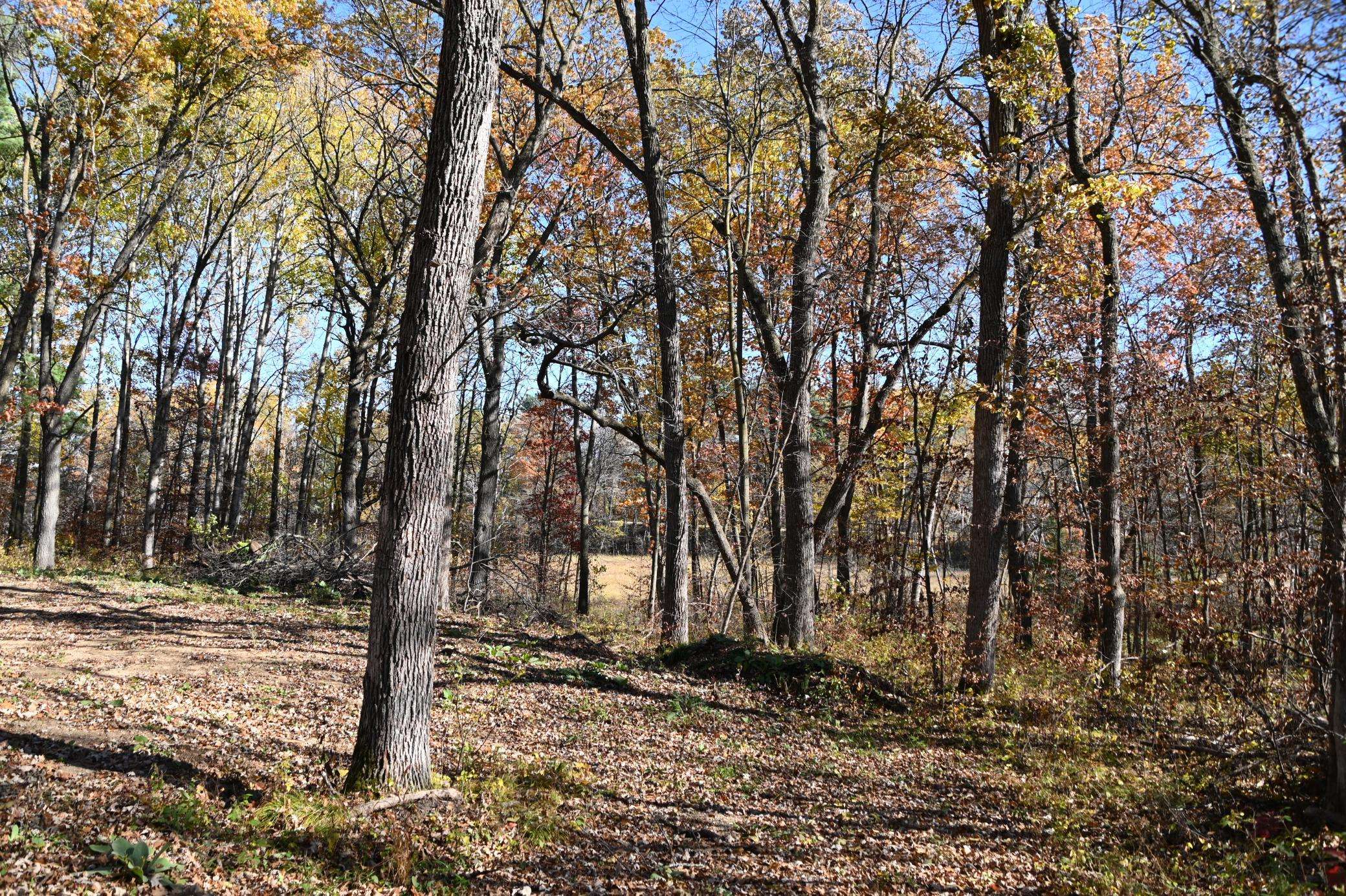 39884 Pine Island Pt DR, Browerville, MN 56438