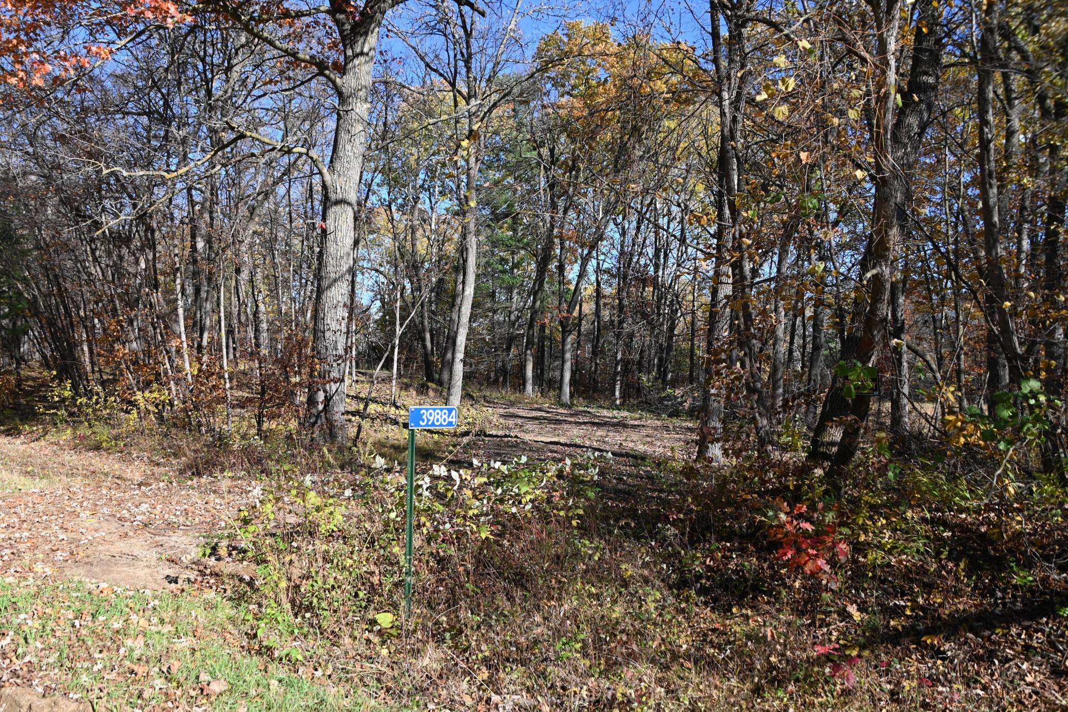 39884 Pine Island Pt DR, Browerville, MN 56438