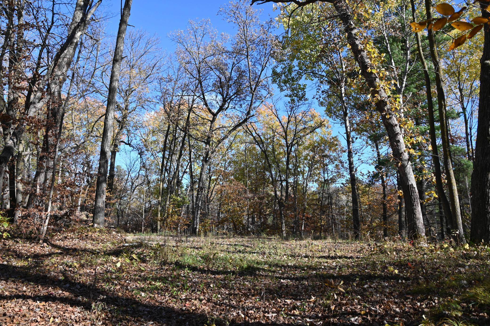 39906 Pine Island Pt DR, Browerville, MN 56438