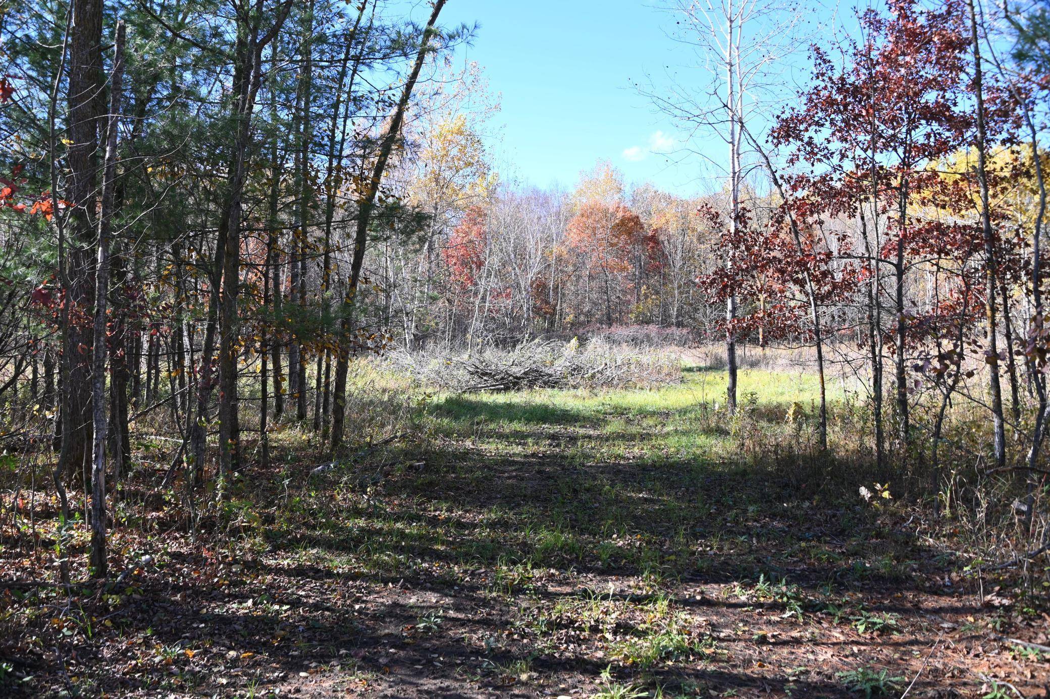 27727 Oberon LOOP, Browerville, MN 56438