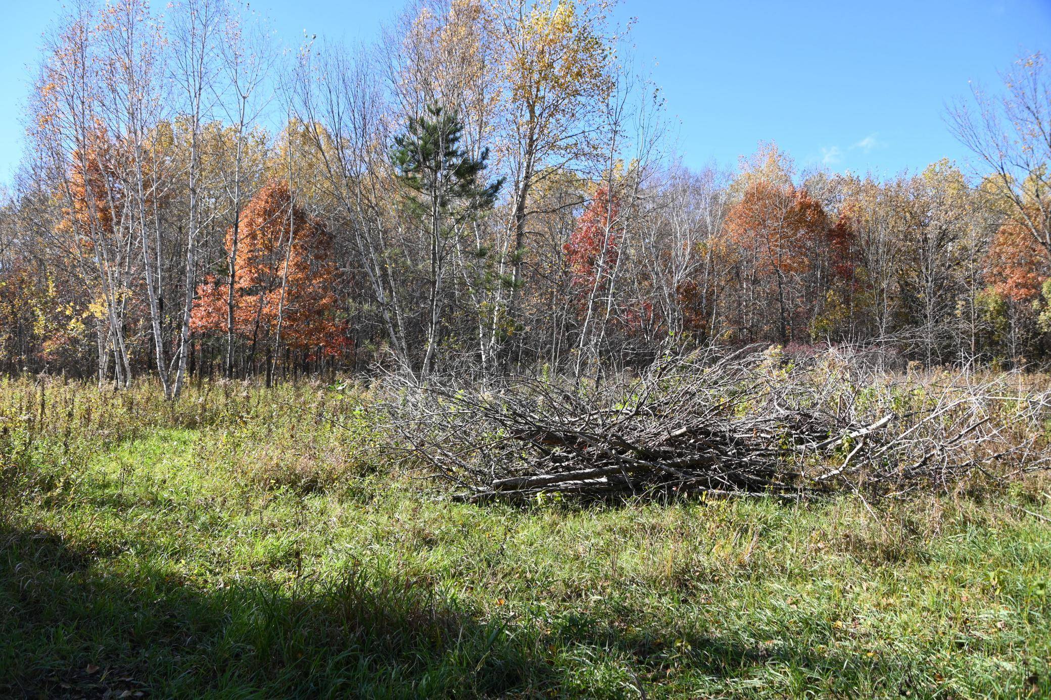 27727 Oberon LOOP, Browerville, MN 56438