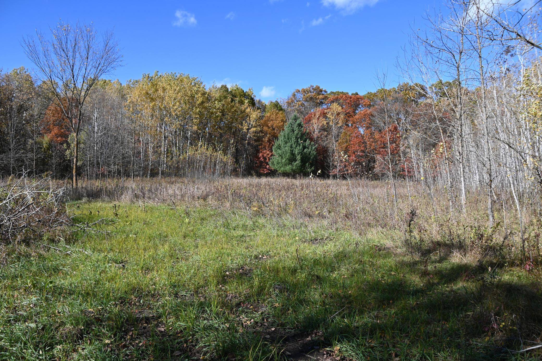 27727 Oberon LOOP, Browerville, MN 56438