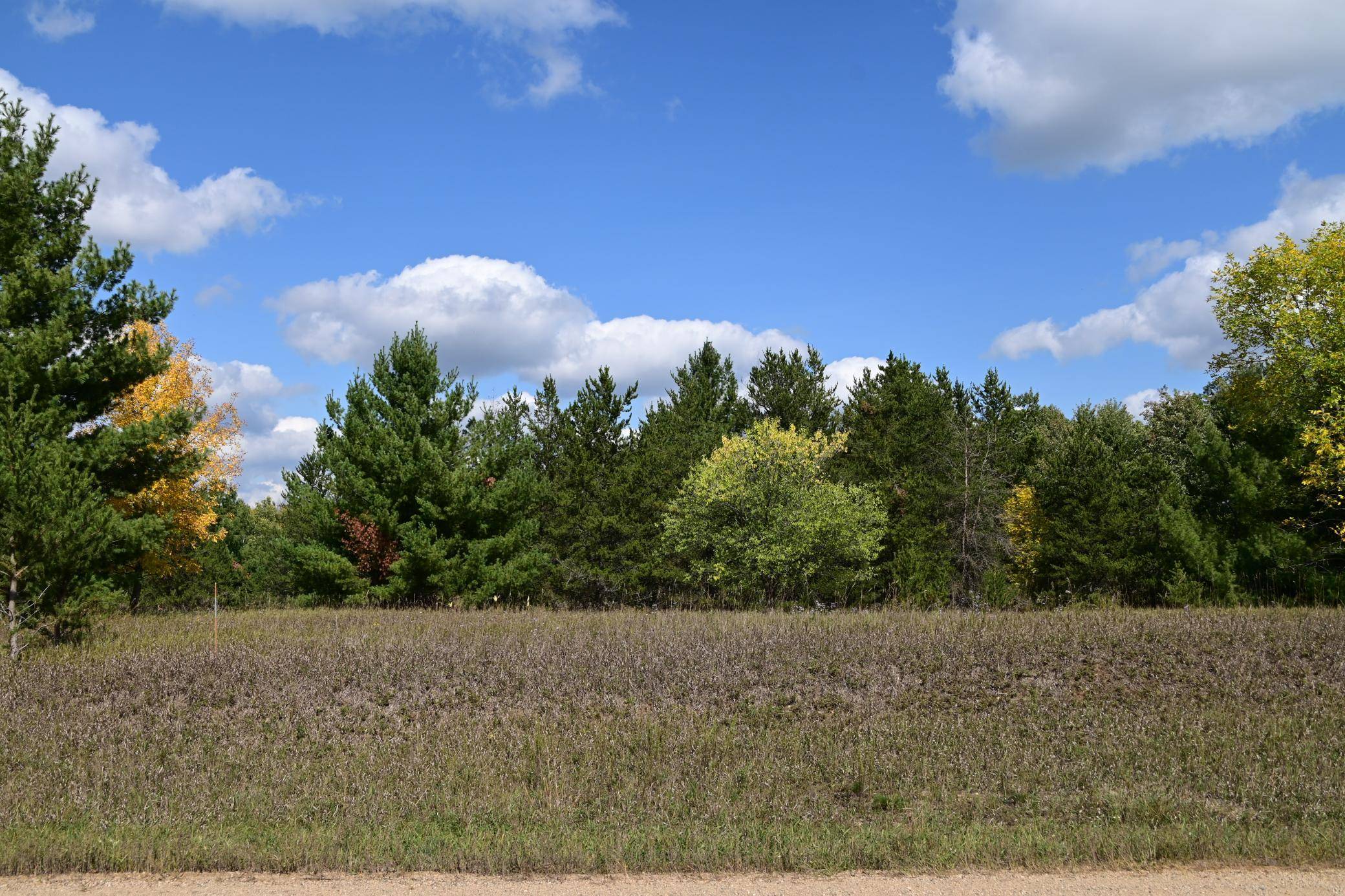 TBD Oak DR, Browerville, MN 56438