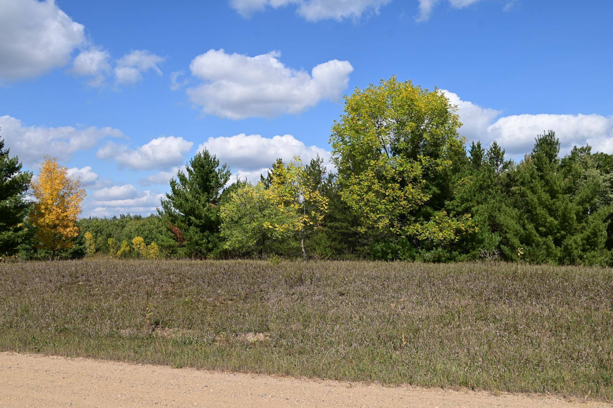 TBD Oak DR, Browerville, MN 56438