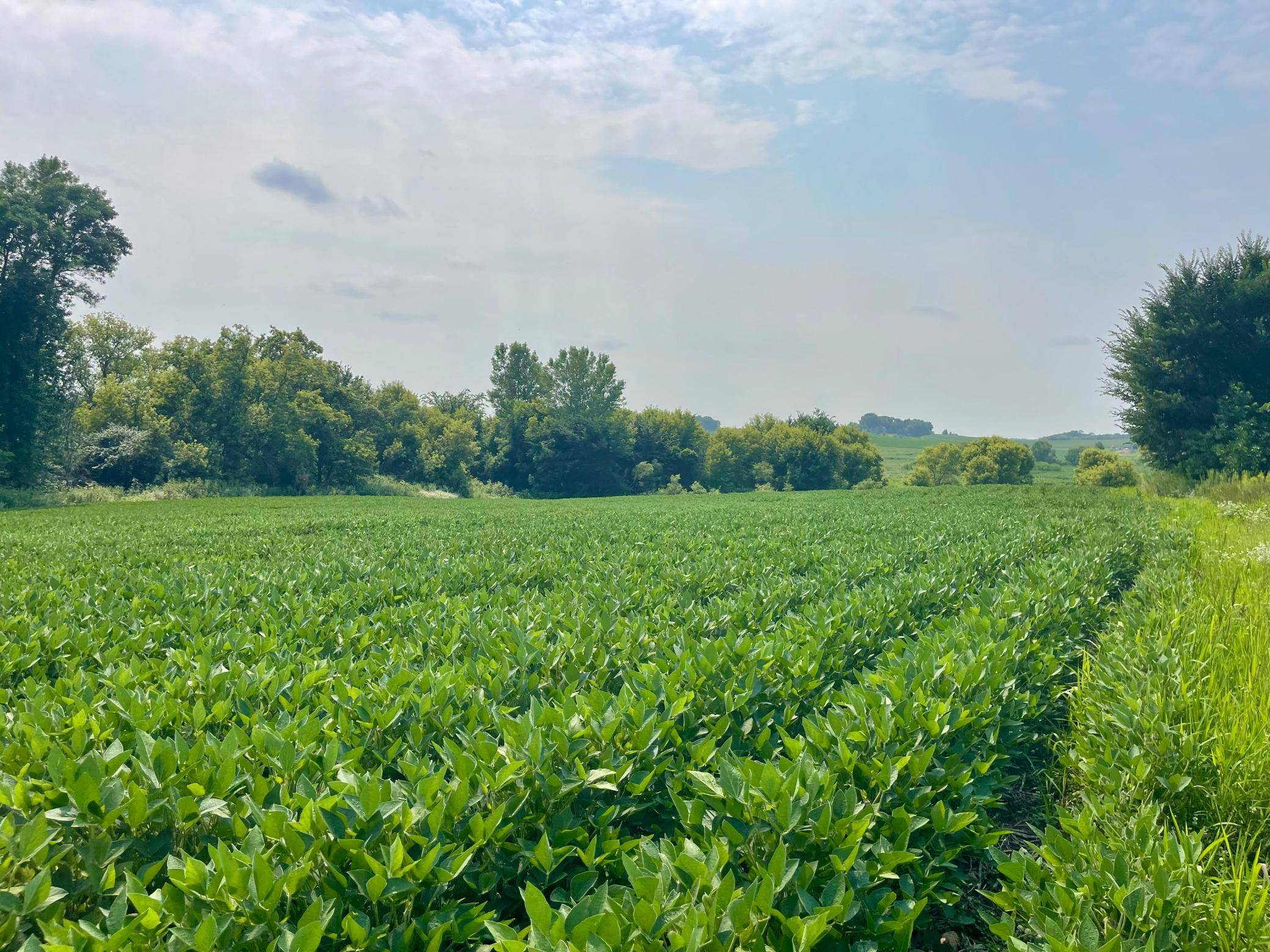 TBD Dodd RD, Kilkenny, MN 56057