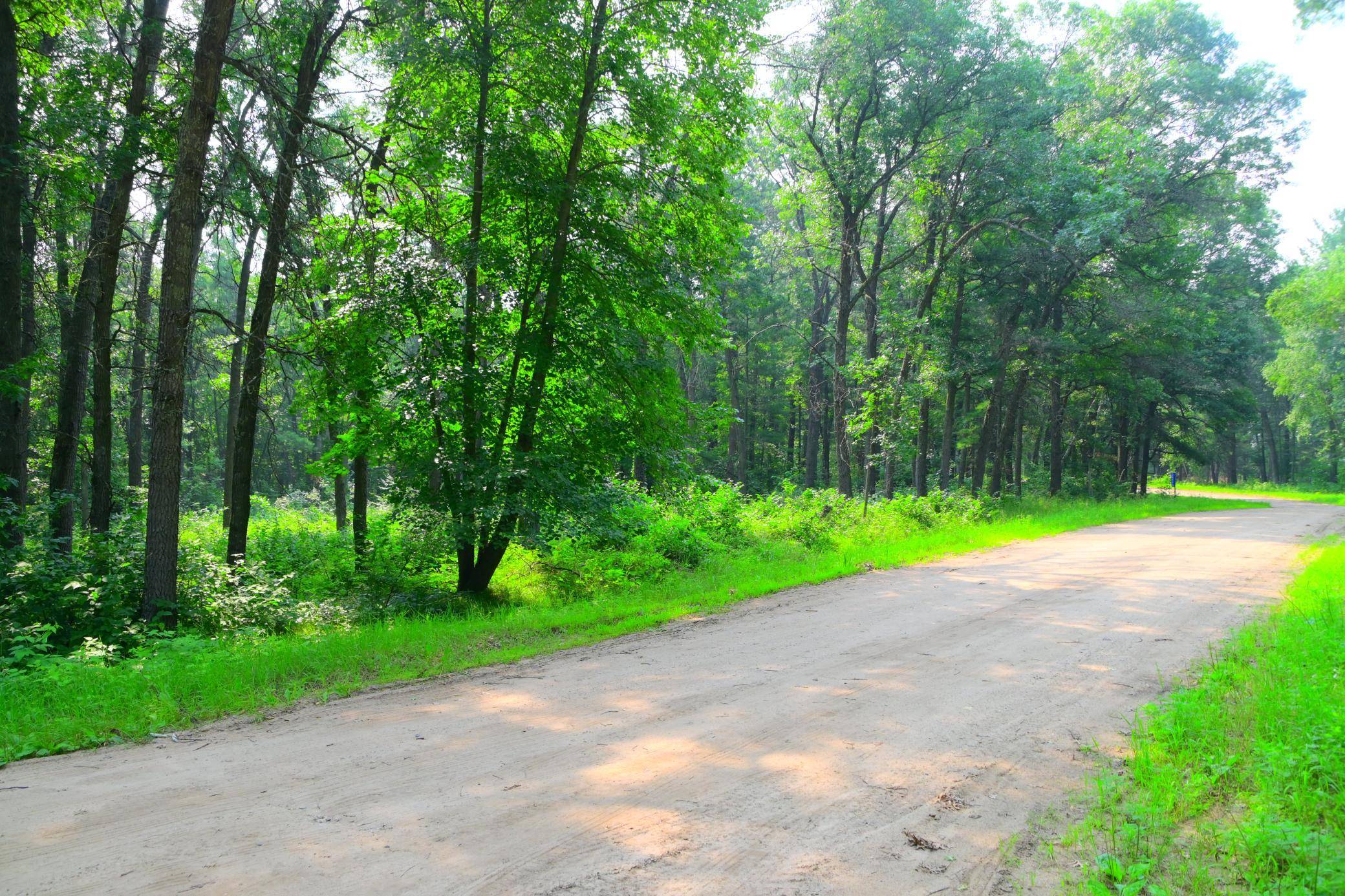 38970 Odin CT, Browerville, MN 56438