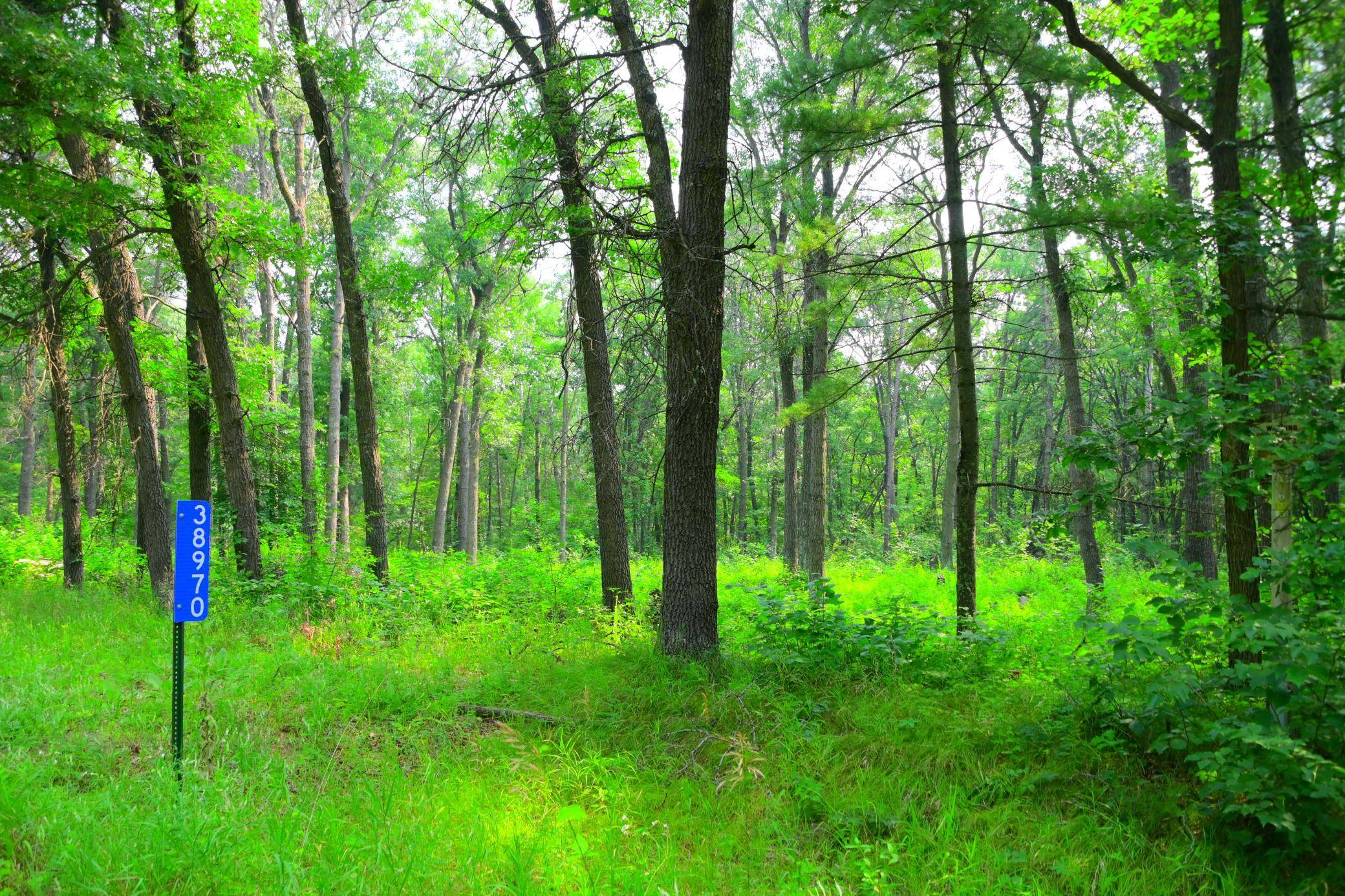 38970 Odin CT, Browerville, MN 56438