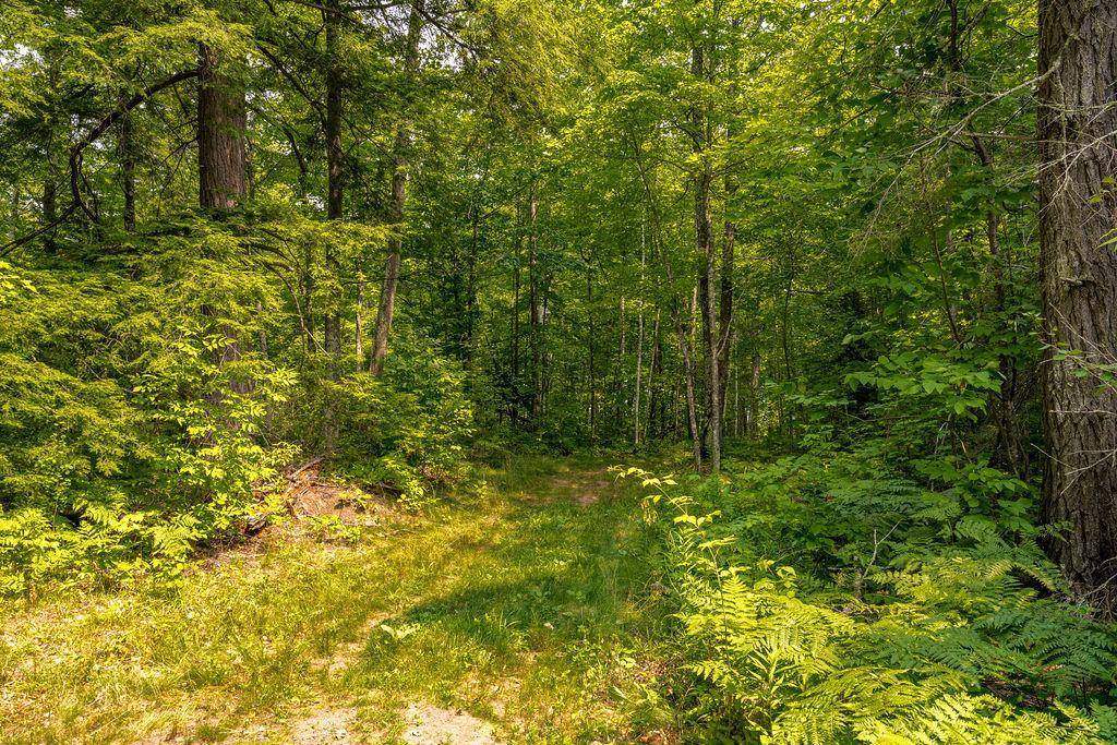 85685 EightPoint LN, Bayfield, WI 54814
