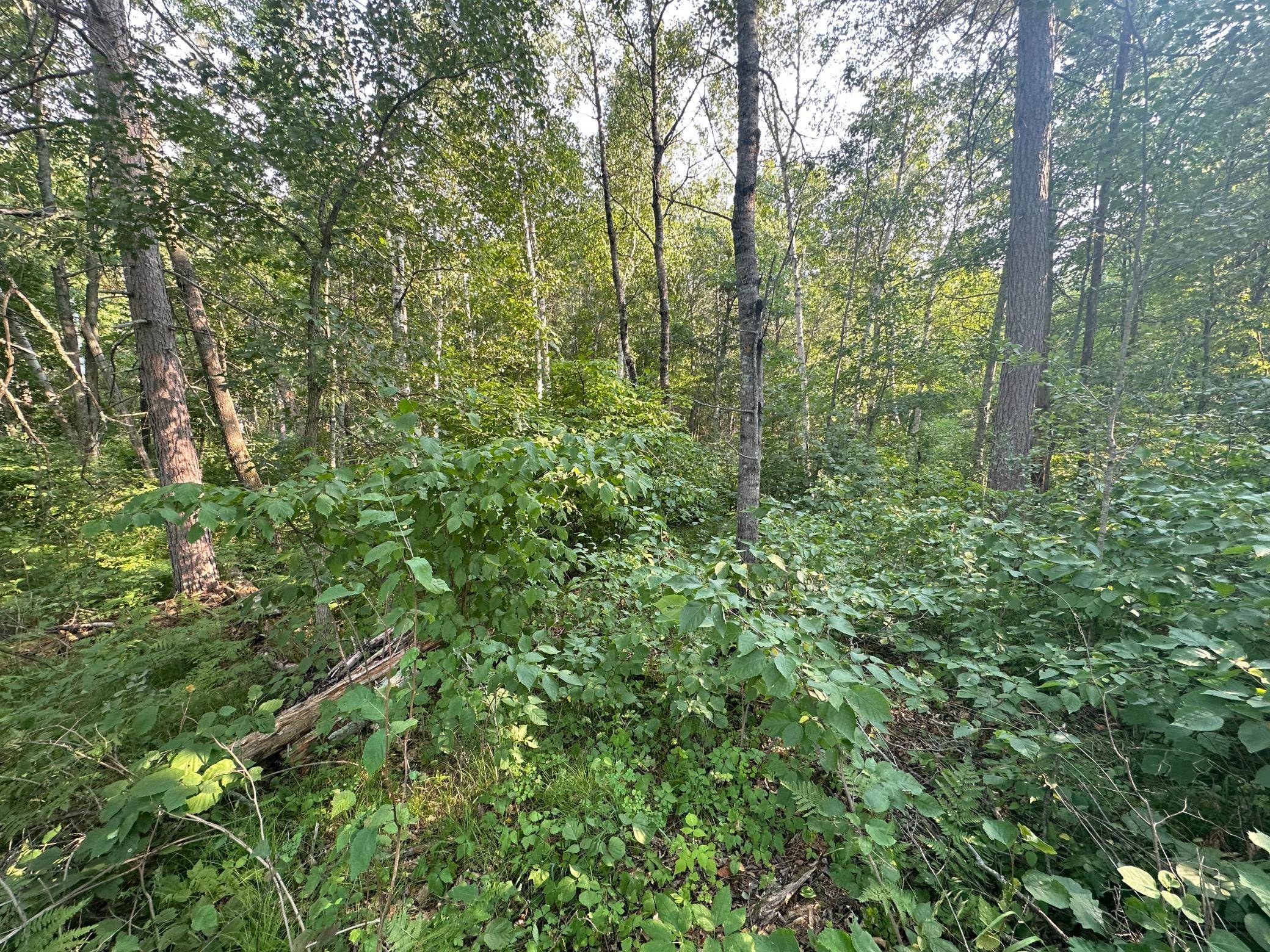TBD Ski Chalet Dr, Breezy Point, MN 56472