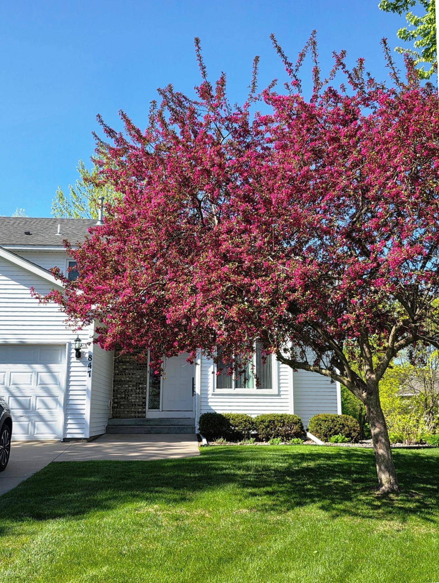 847 Vista CIR, Delano, MN 55328