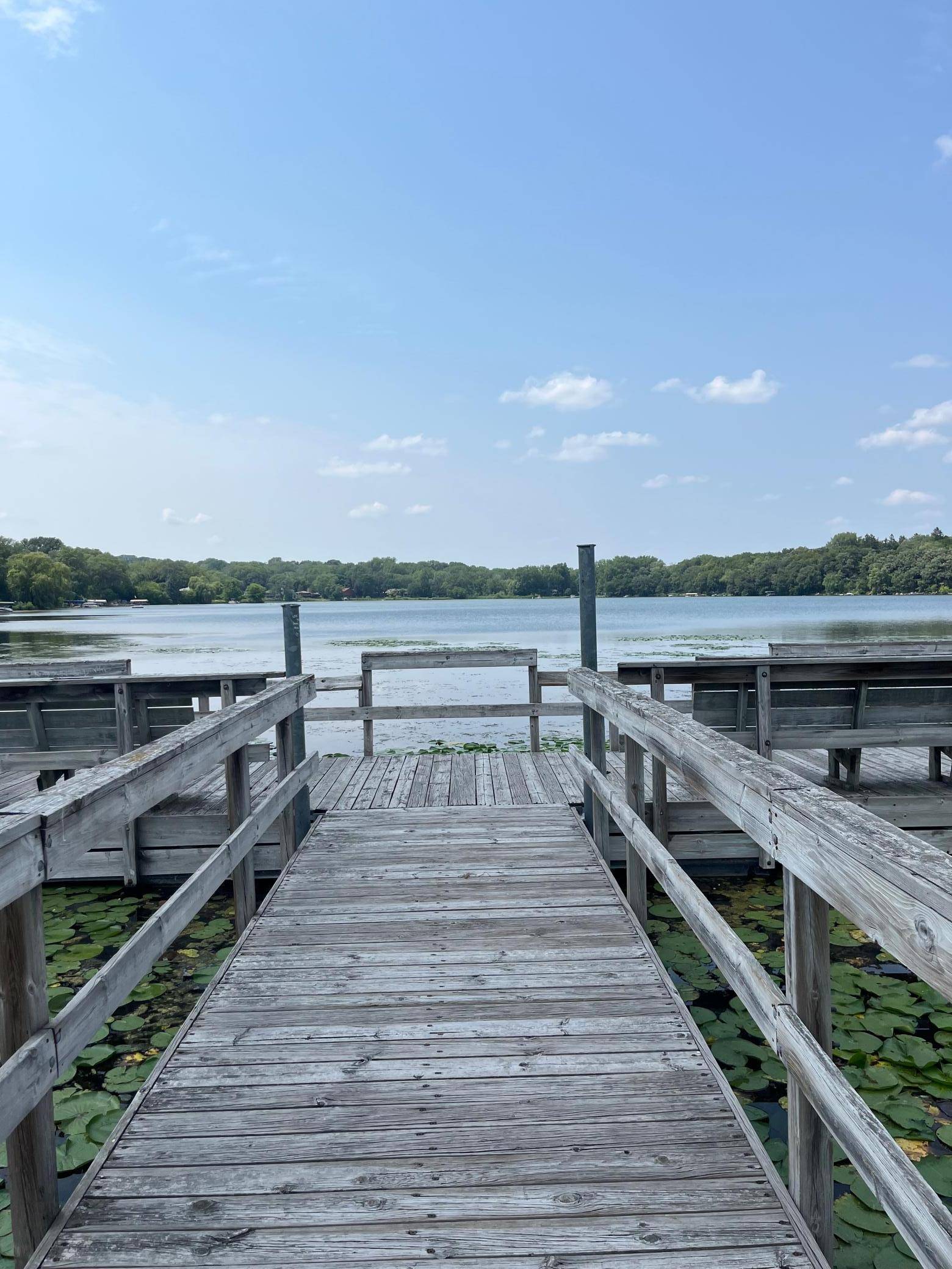 205 Mccarrons PL, Roseville, MN 55113