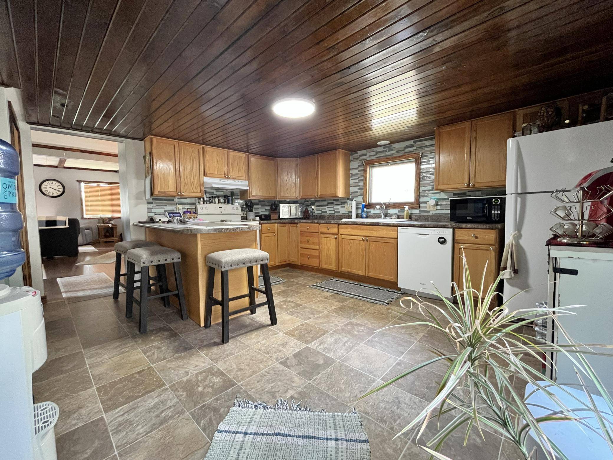 402 N Austin AVE, Litchfield, MN 55355