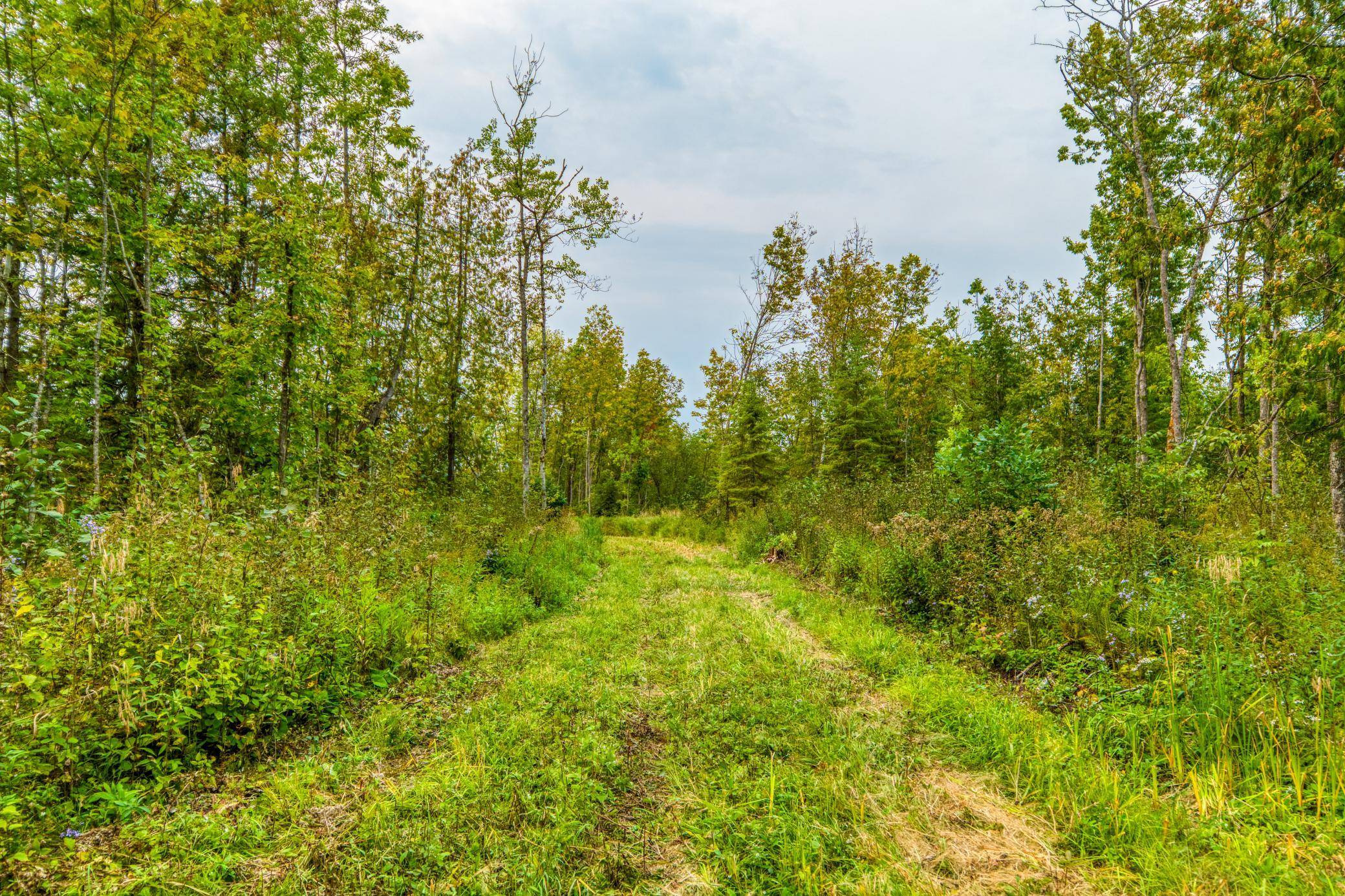 12479 Battle RD NE, Blackduck, MN 56630