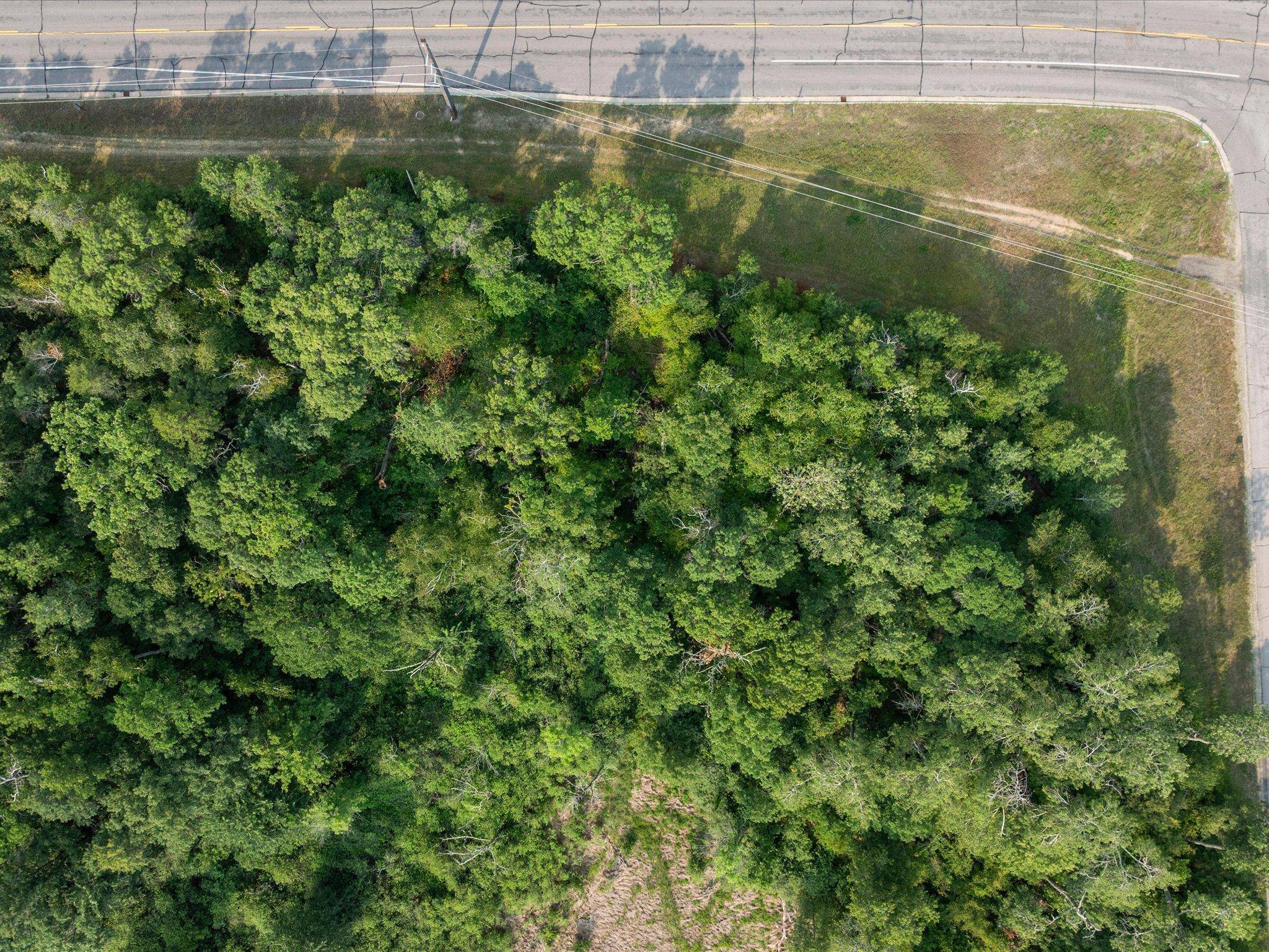 TBD Weavers Point RD, Breezy Point, MN 56472