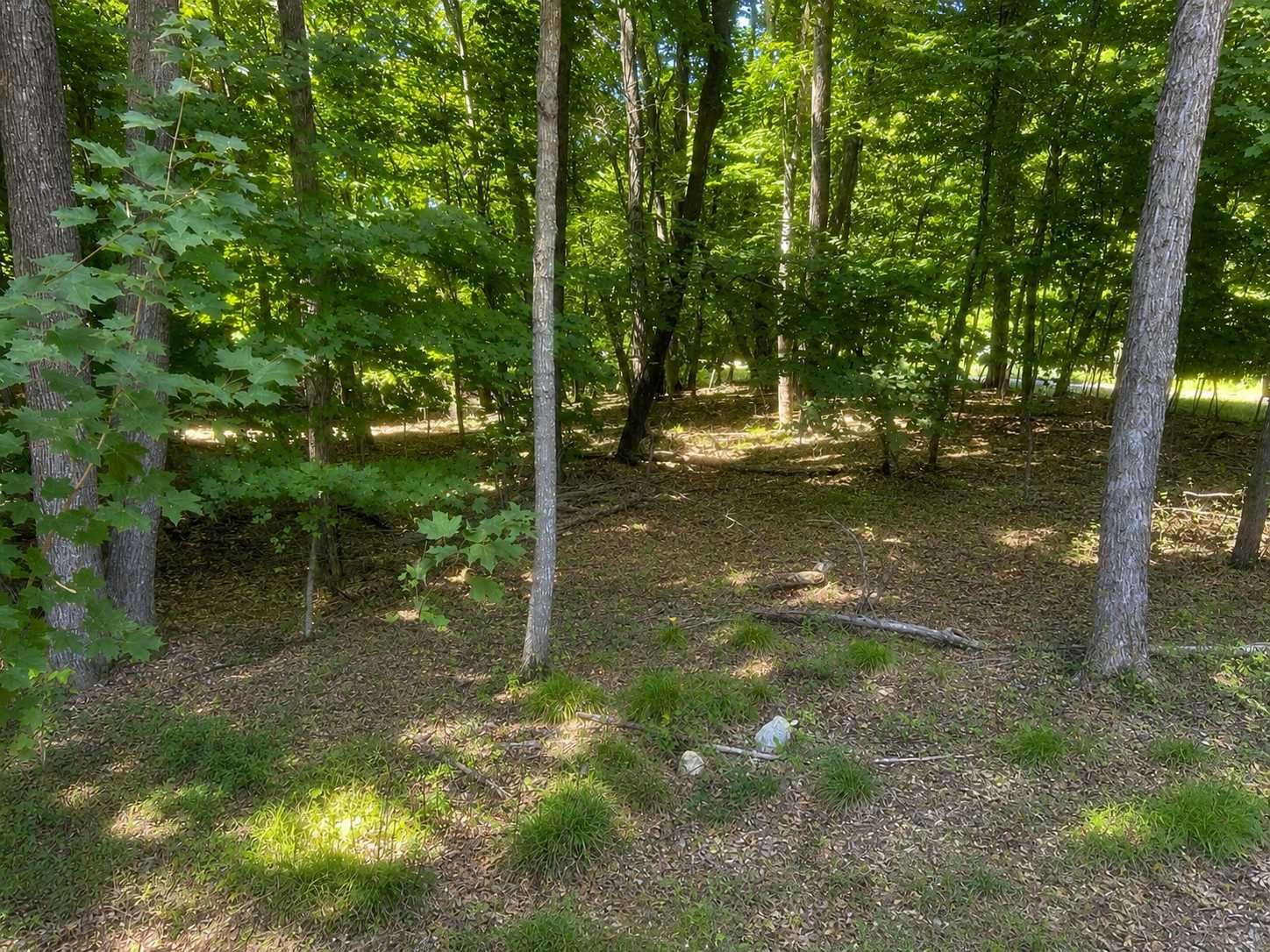 48722 428th ST, Perham, MN 56573