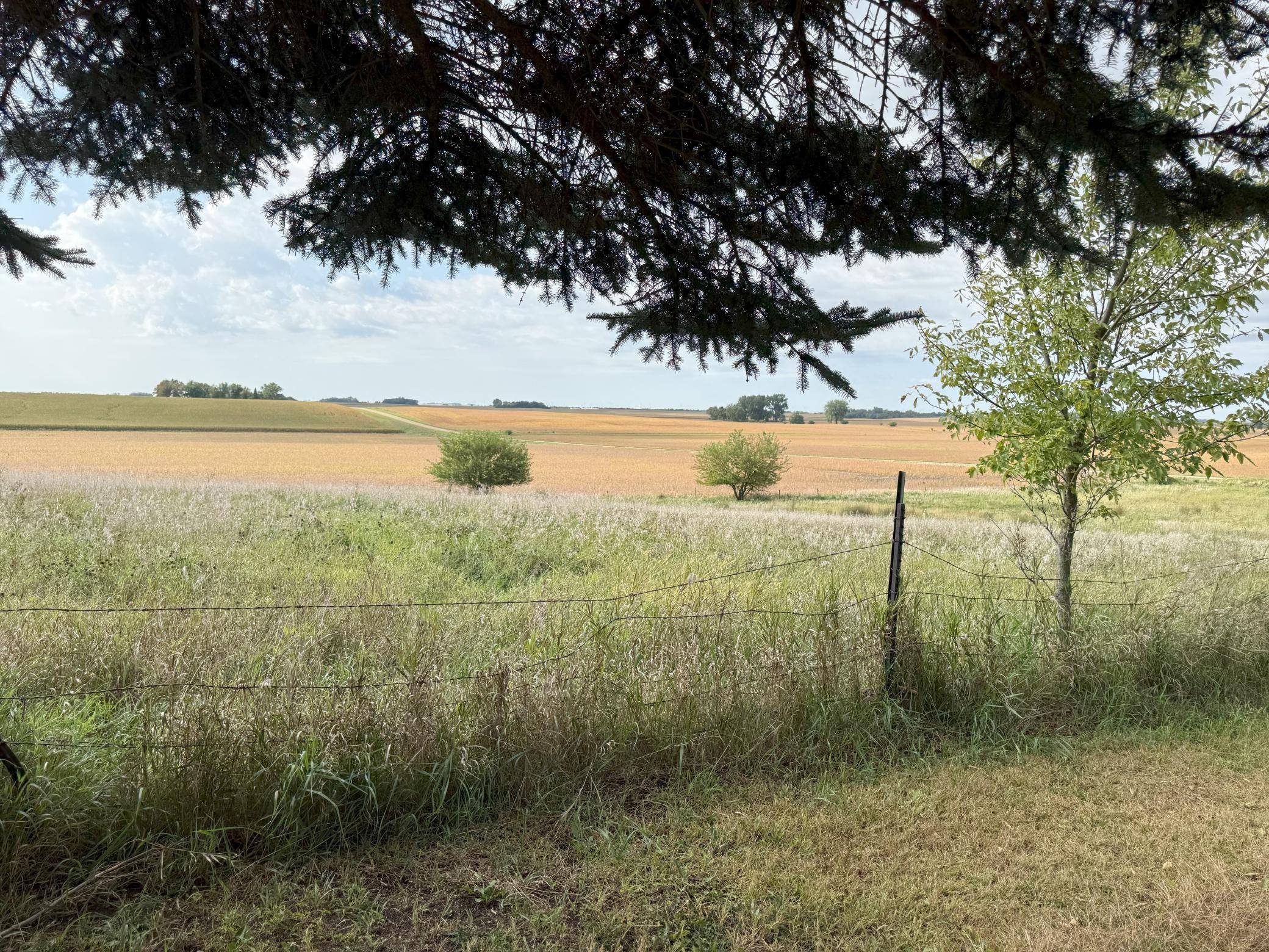 91224 510th AVE, Windom, MN 56101