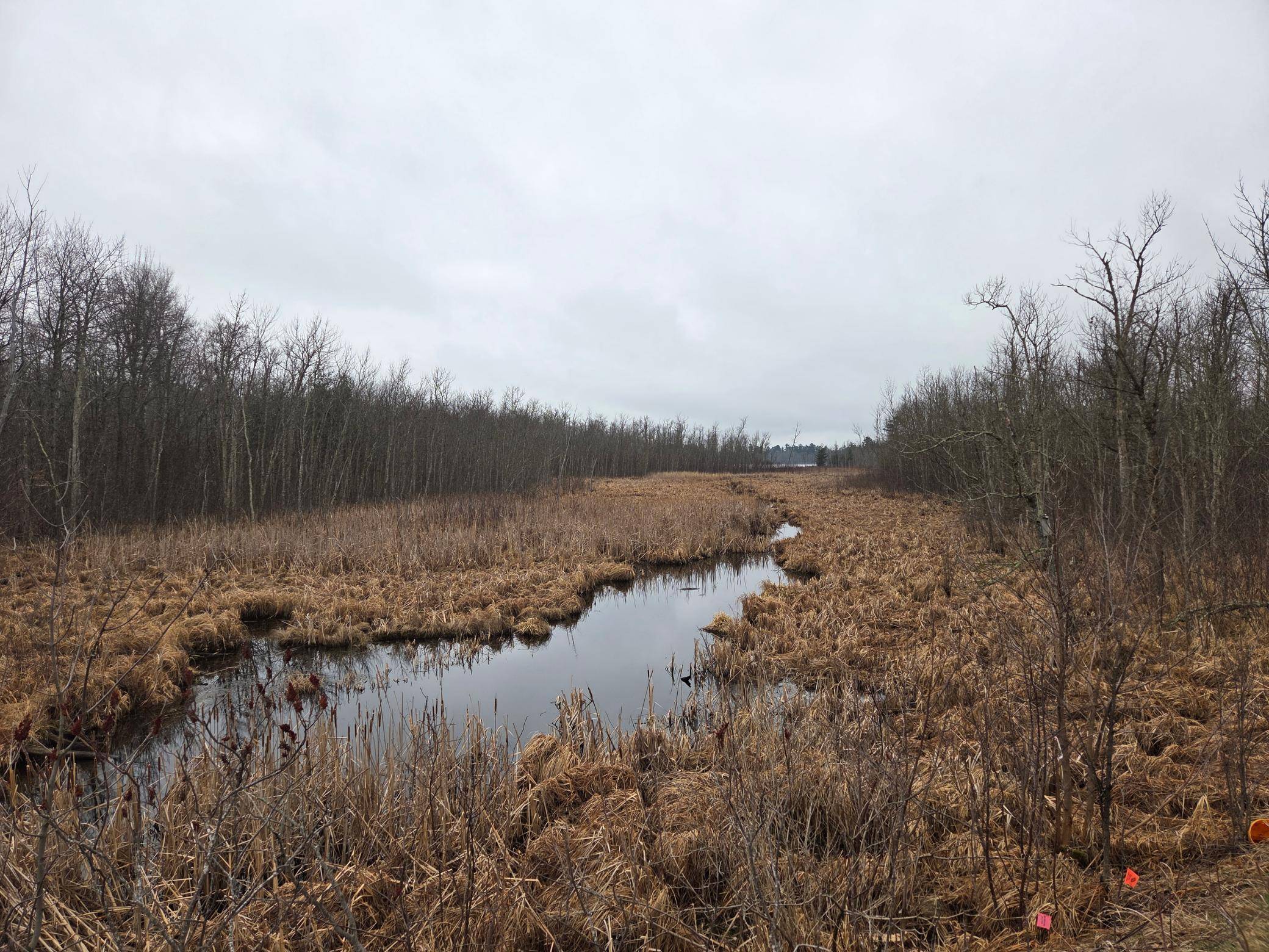 TBD County 11, Longville, MN 56655