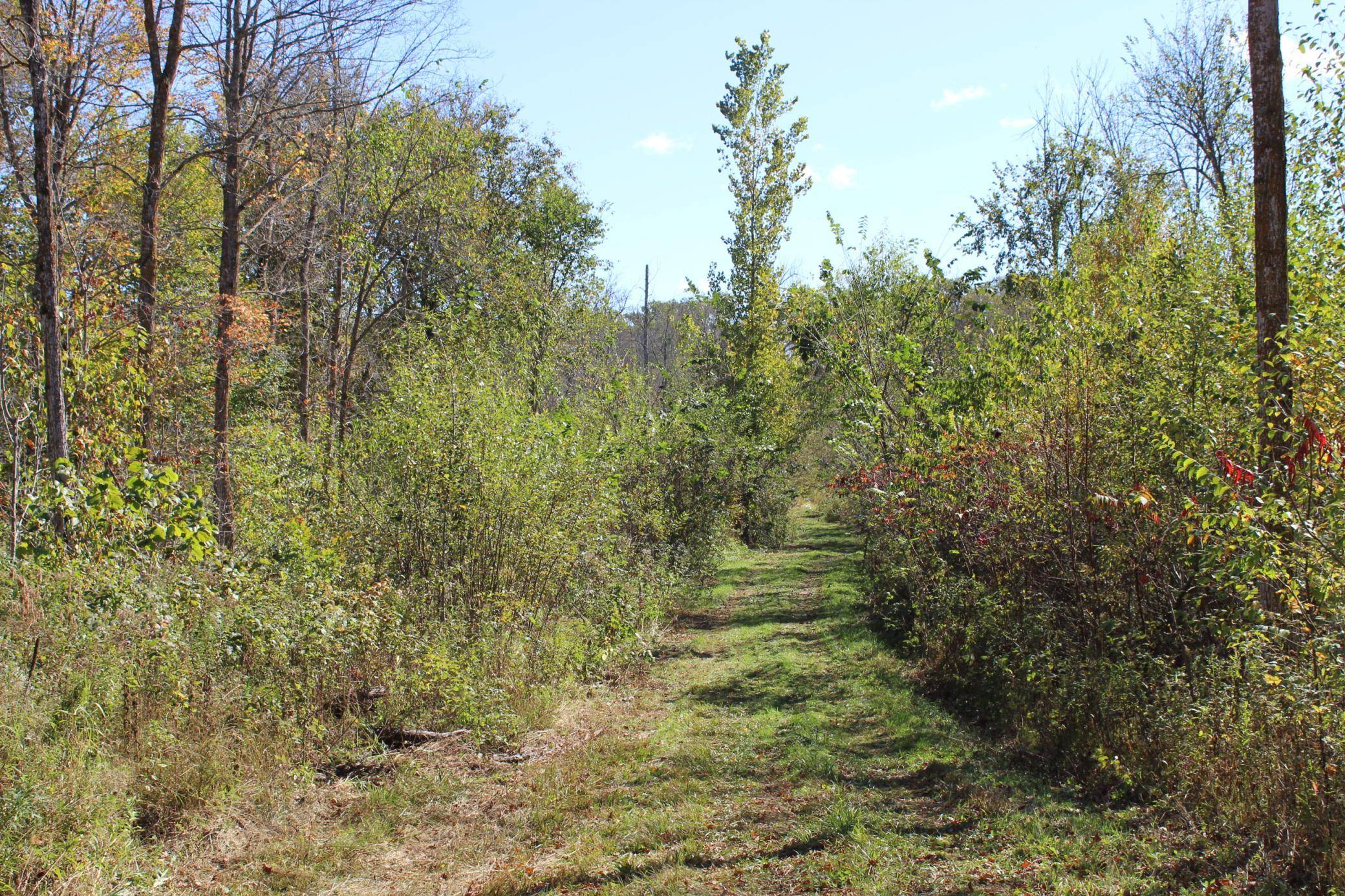 TBD Woods RD, Isle, MN 56342
