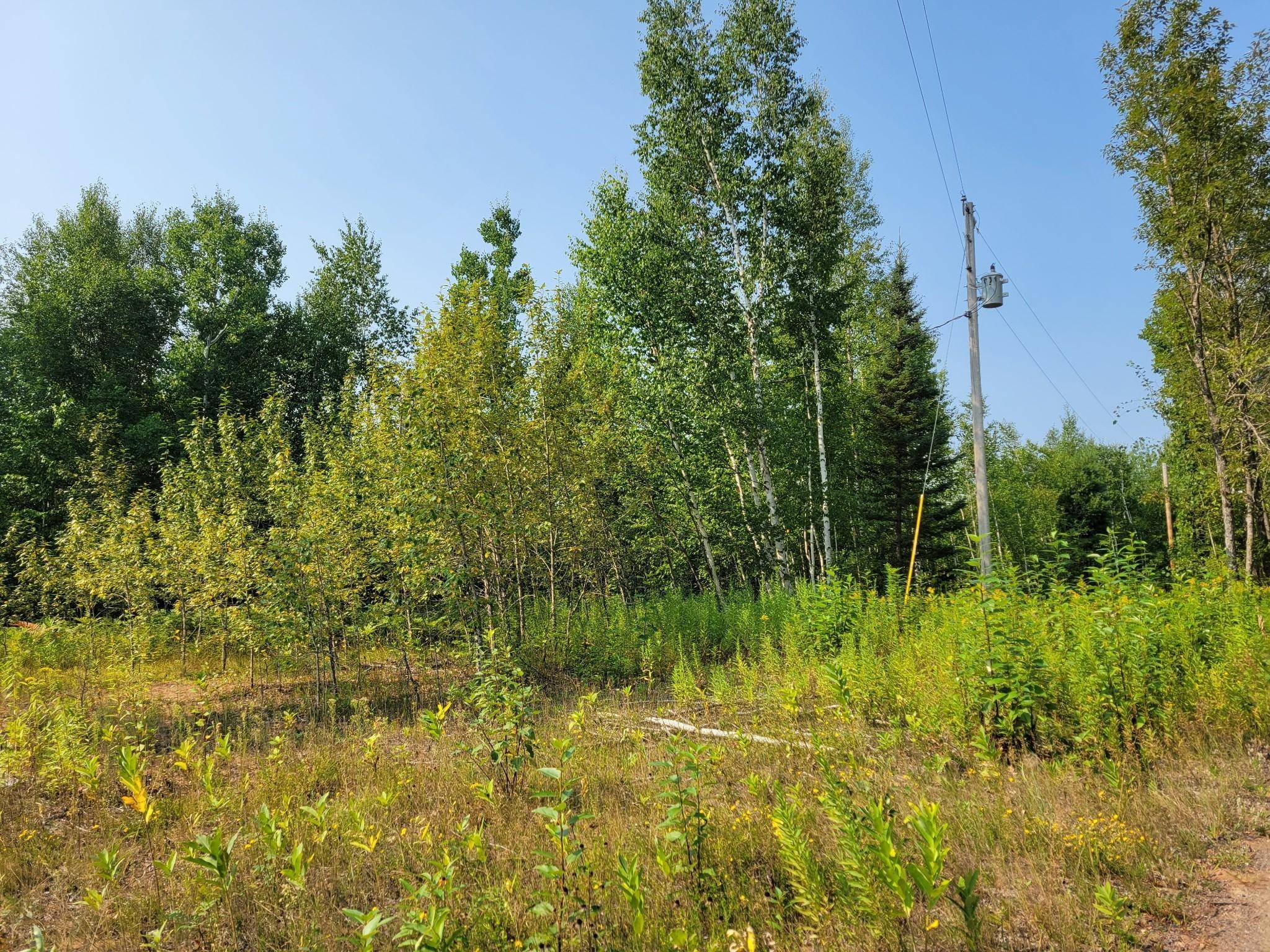 XXX Brandon RD, Brookston, MN 55720