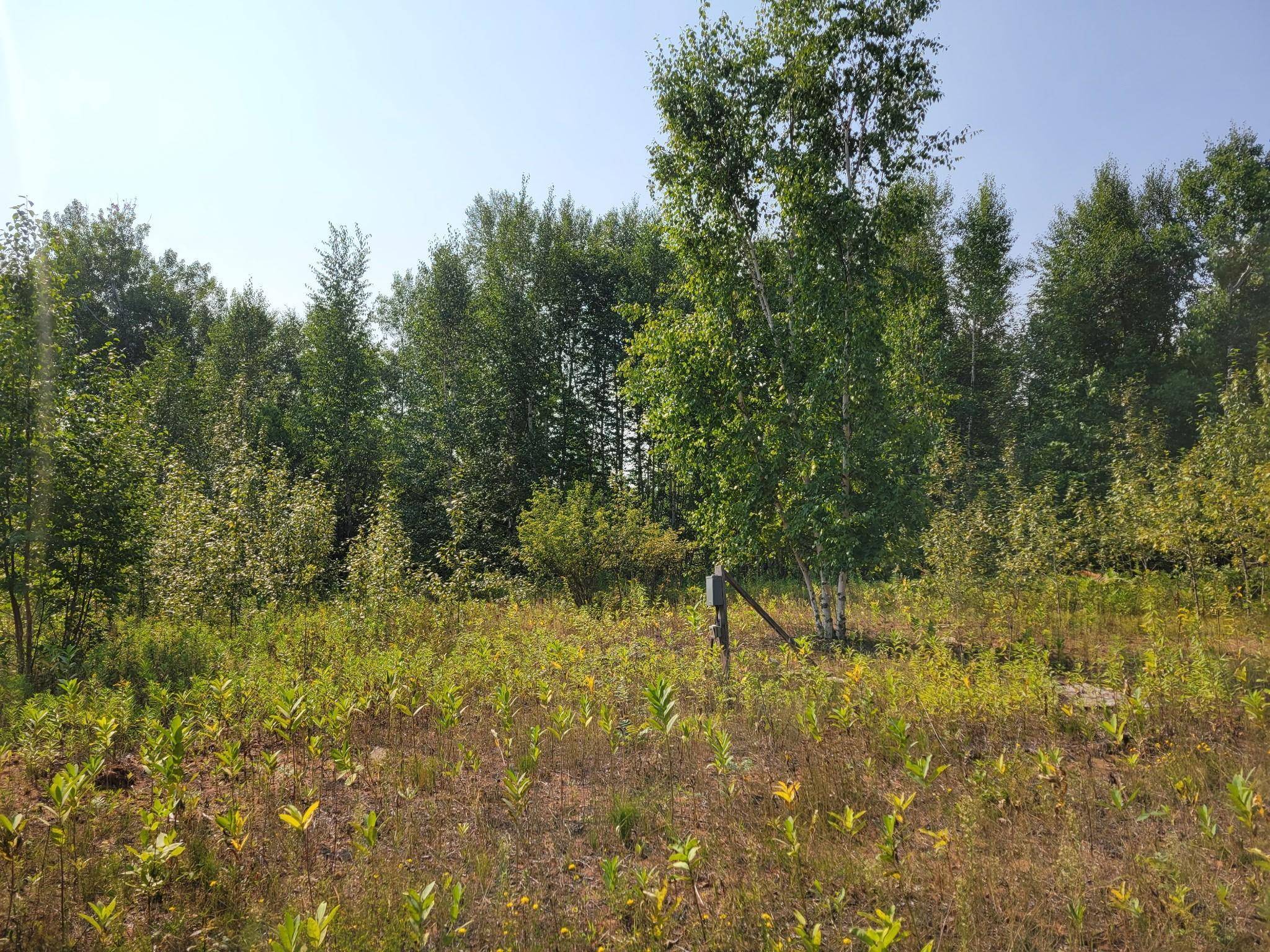 XXX Brandon RD, Brookston, MN 55720