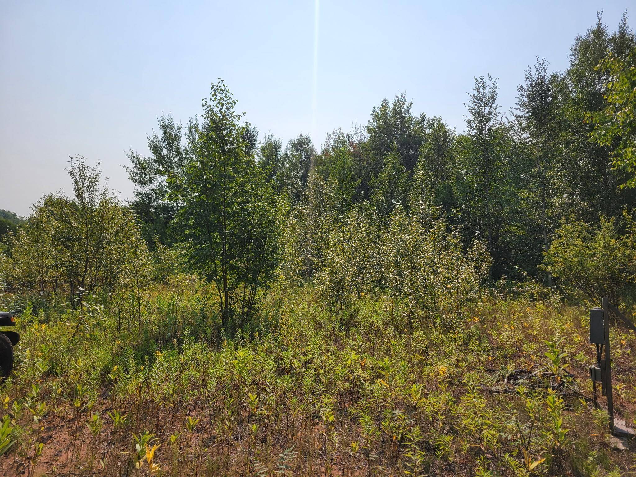 XXX Brandon RD, Brookston, MN 55720