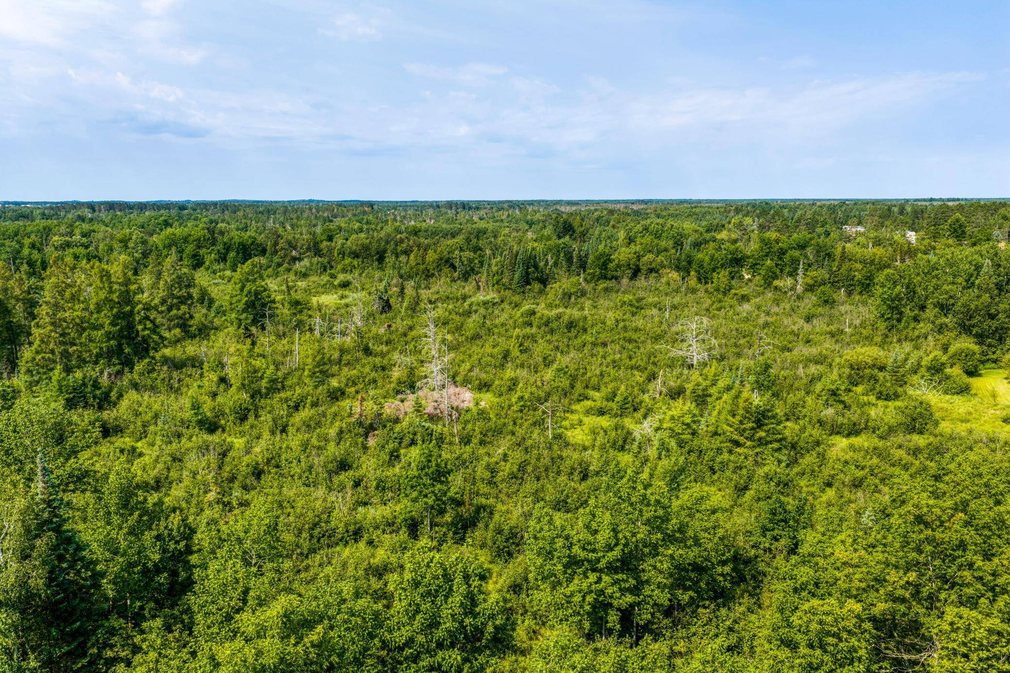 TBD Irvine AVE, Bemidji, MN 56601