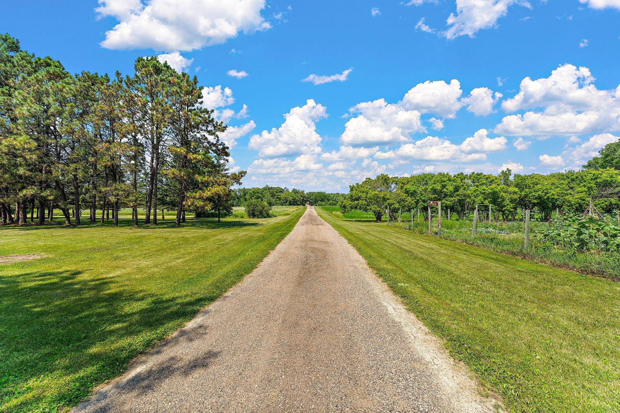 29270 Doyle TRL, Randolph, MN 55065