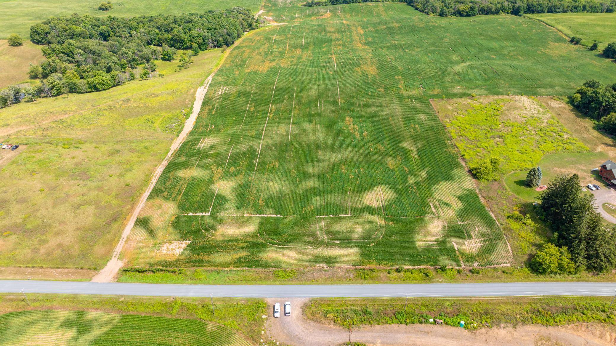XXX 190th Street, Centuria, WI 54824