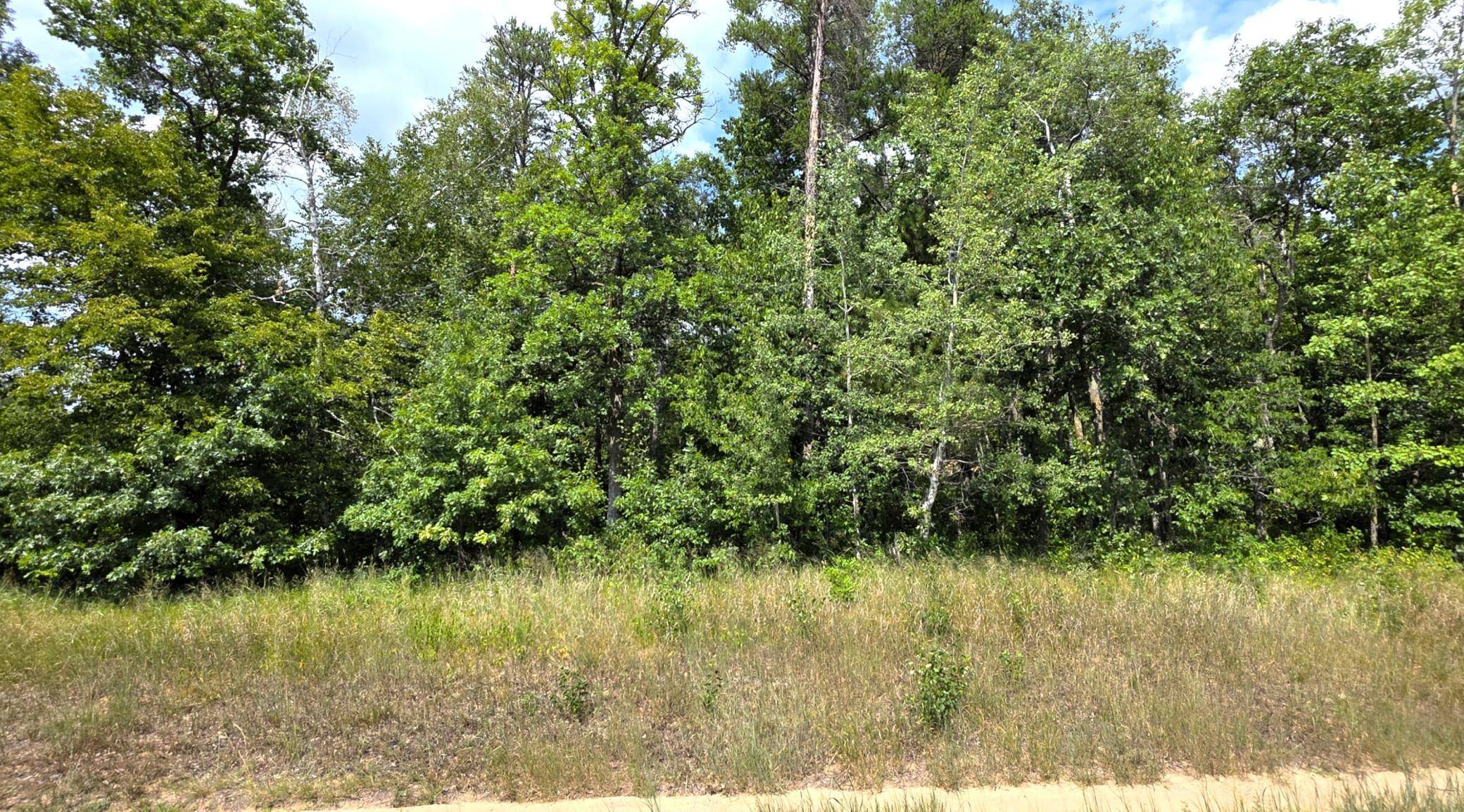 TBD Peony LN, Breezy Point, MN 56472