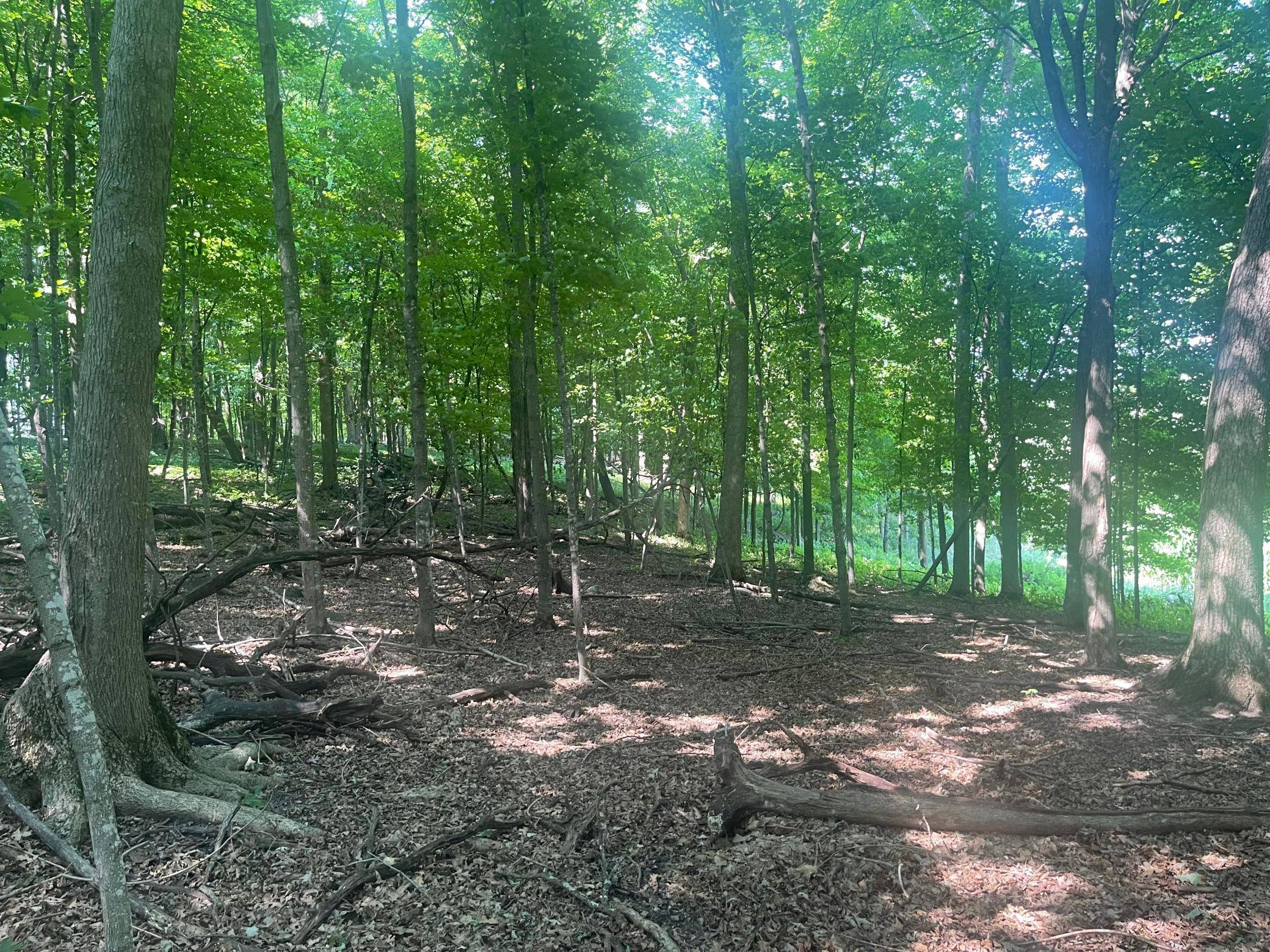 TBD 190th Street, Centuria, WI 54824