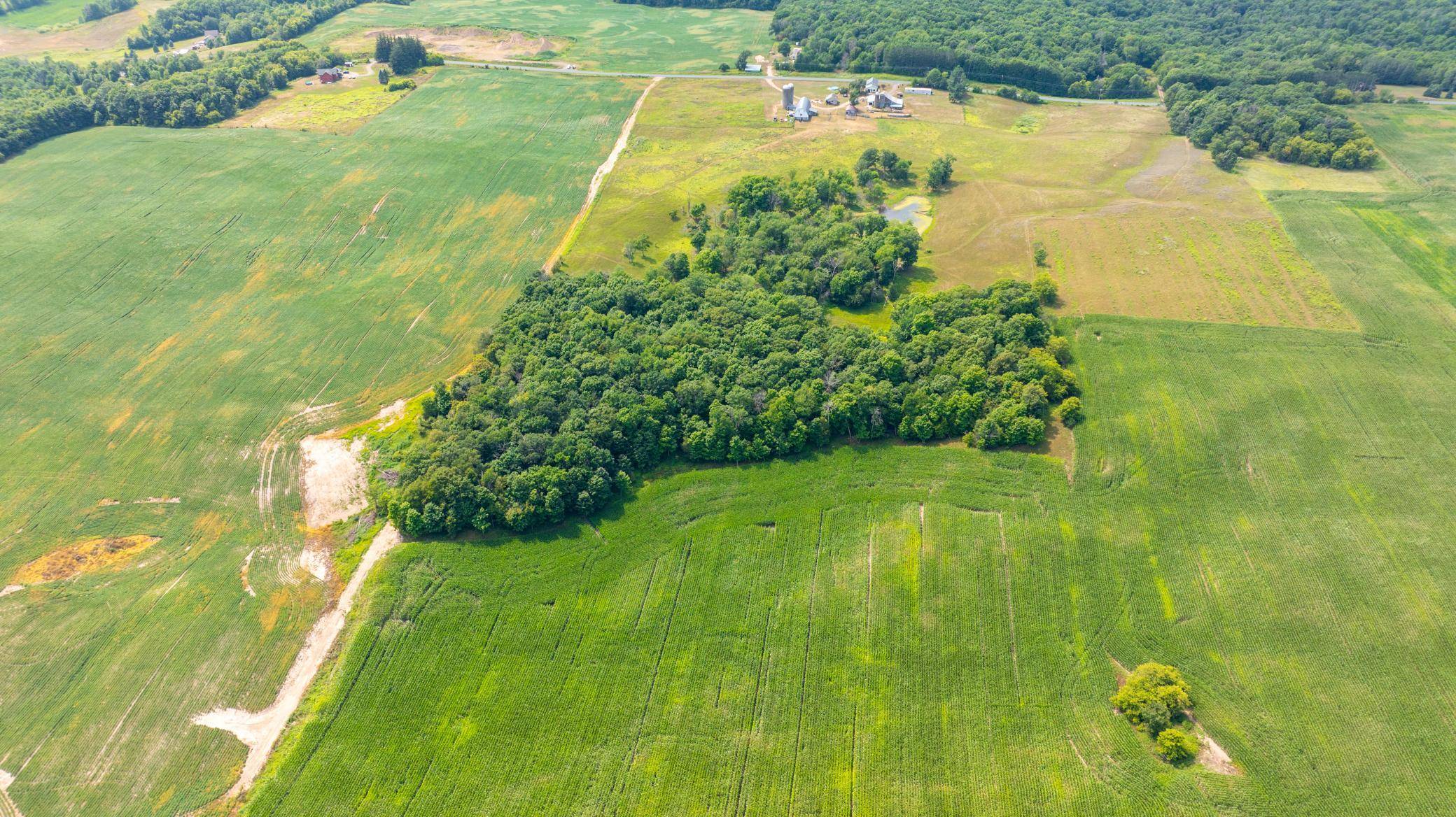 TBD 190th Street, Centuria, WI 54824