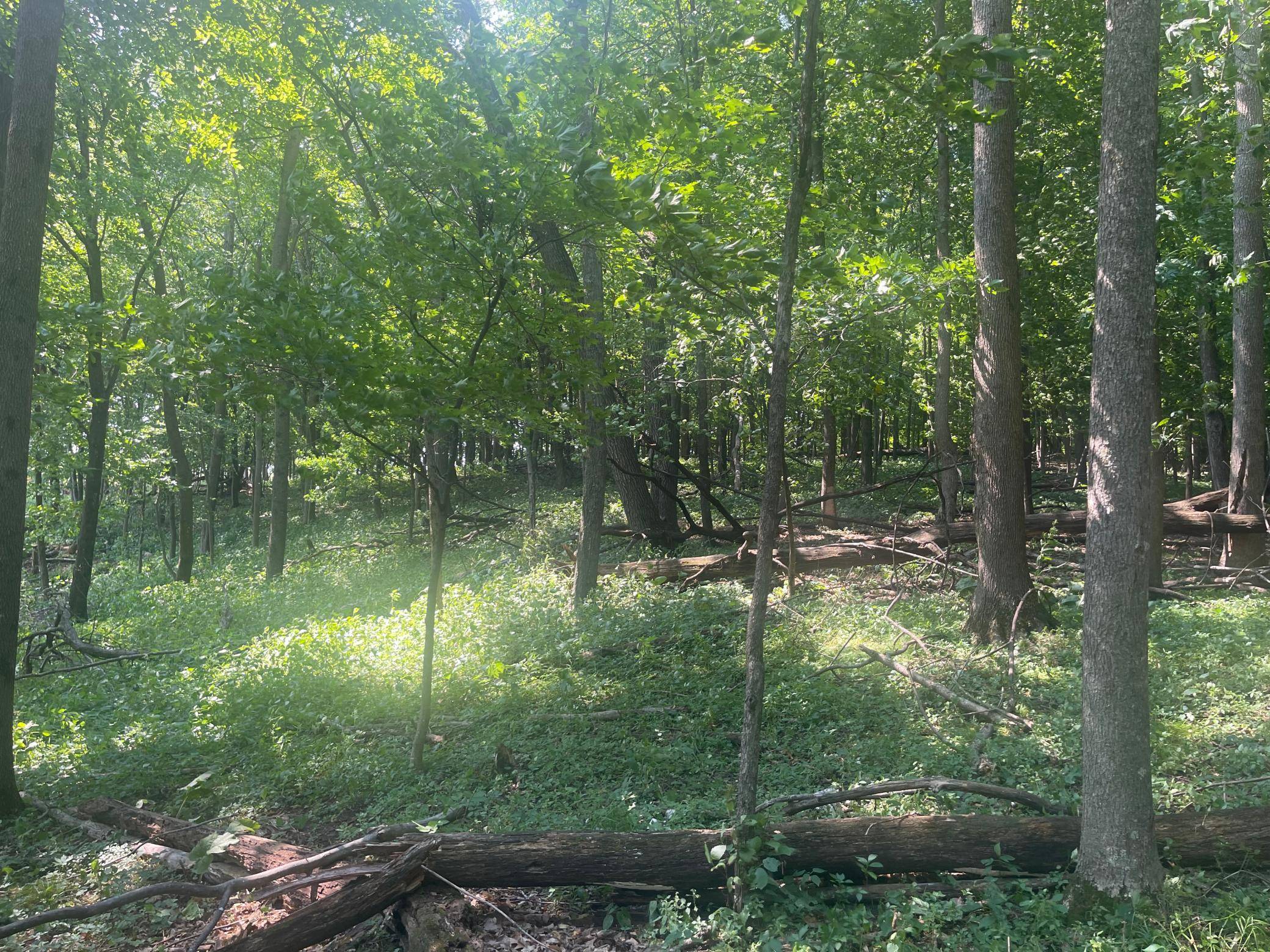 TBD 190th Street, Centuria, WI 54824