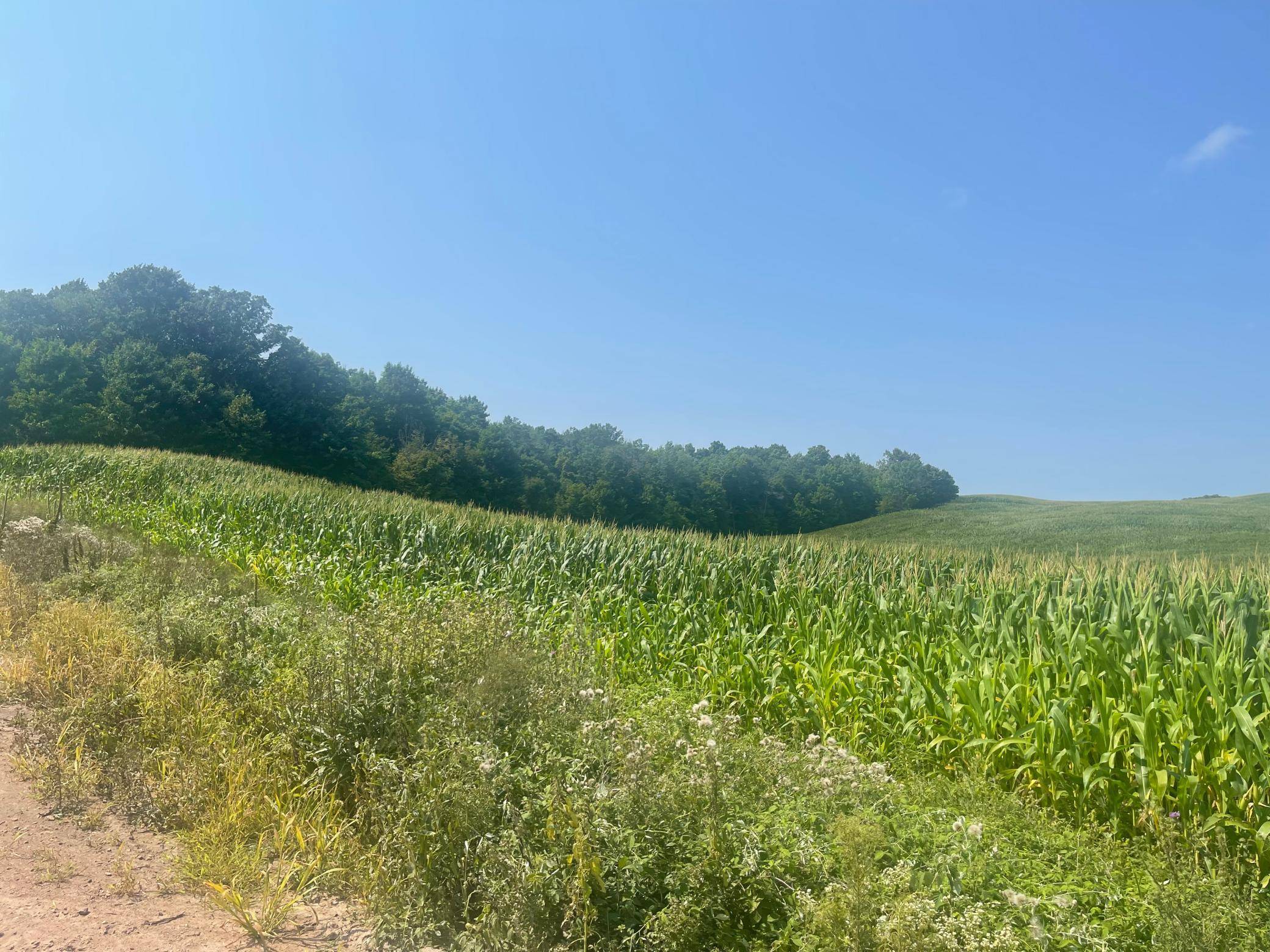 XX 190th Street, Centuria, WI 54024