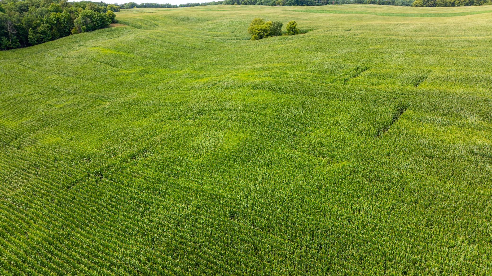 XX 190th Street, Centuria, WI 54024