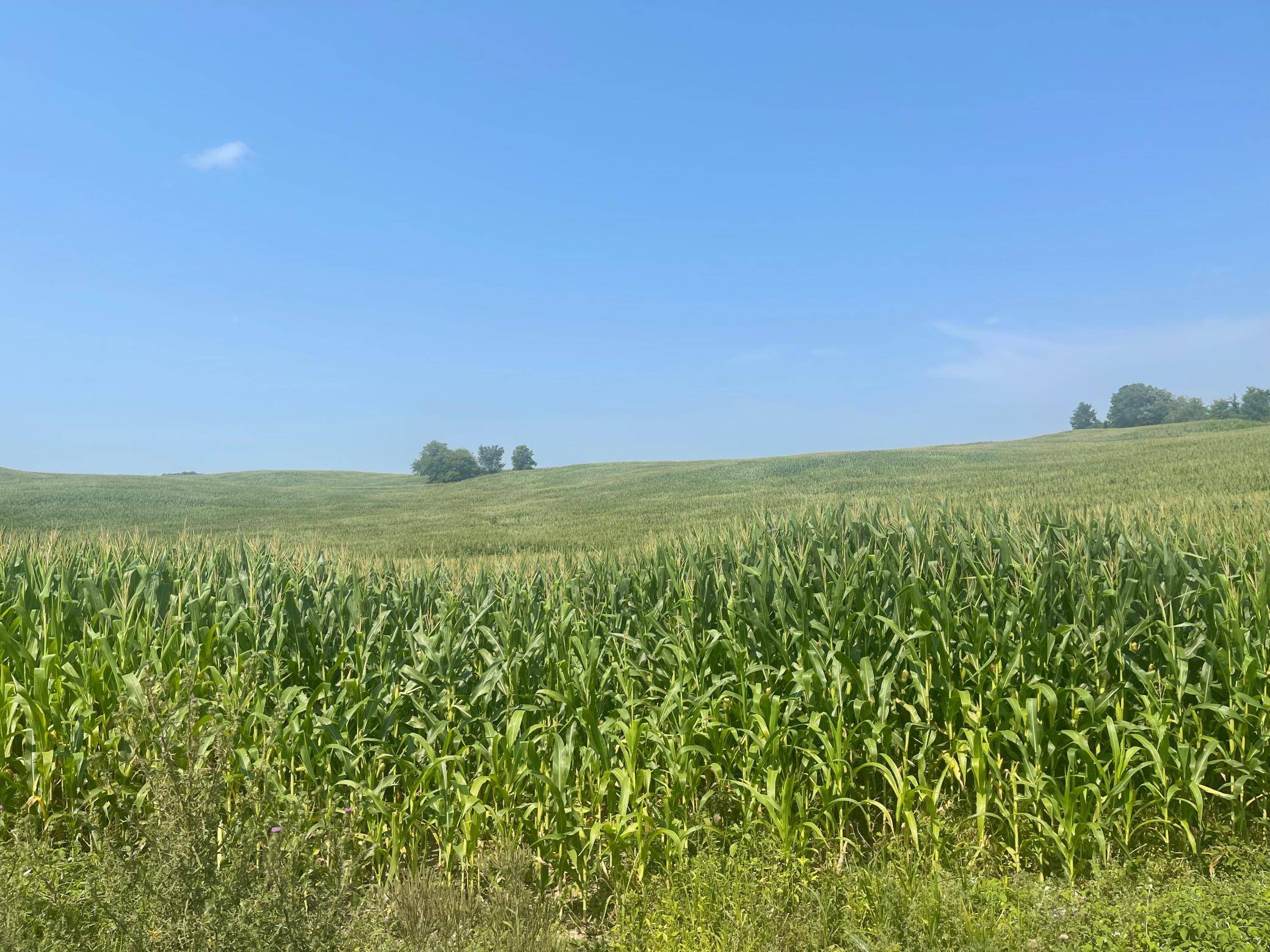 XX 190th Street, Centuria, WI 54024