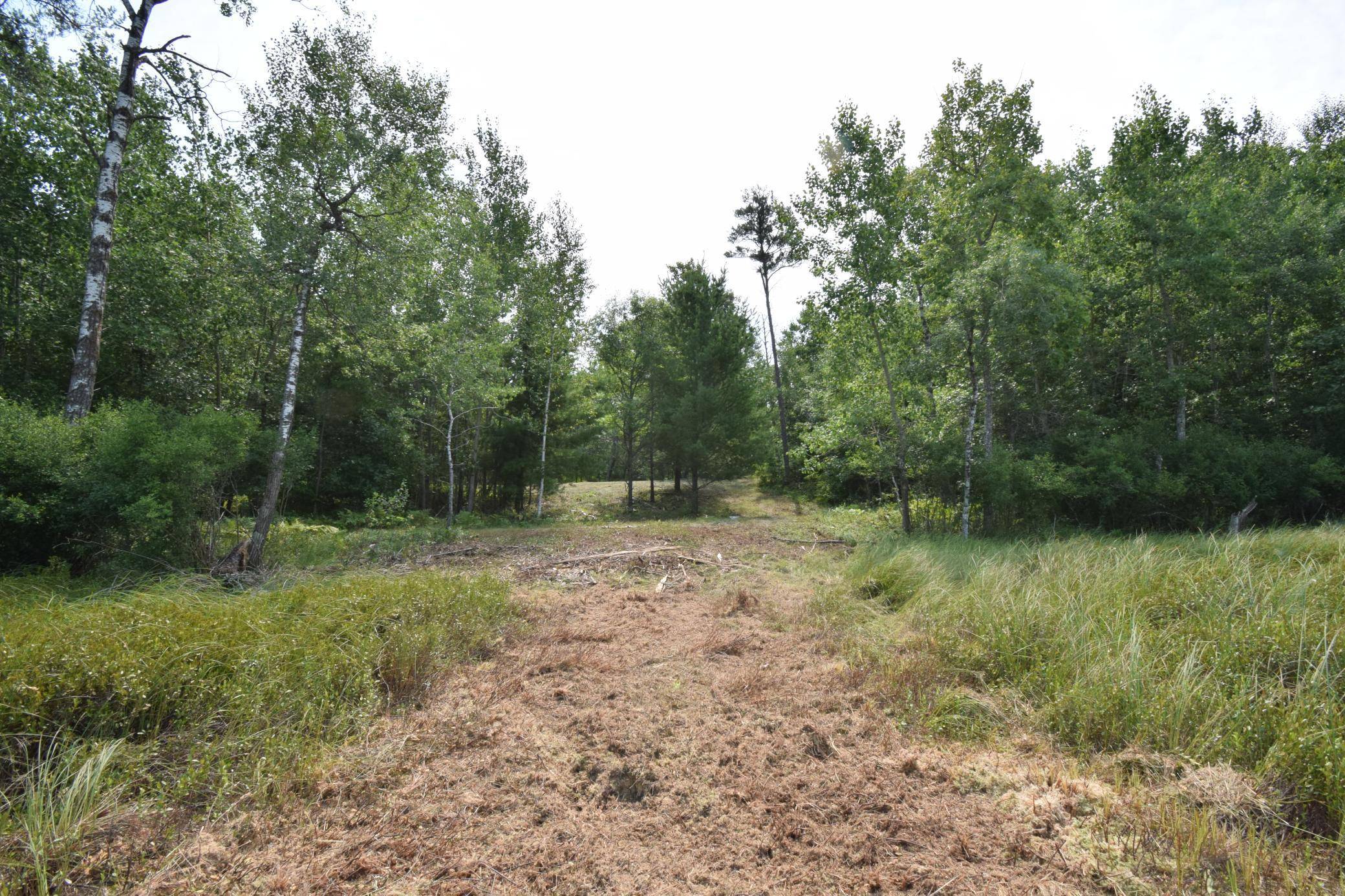 Lot 4 South Point TRL, Danbury, WI 54830