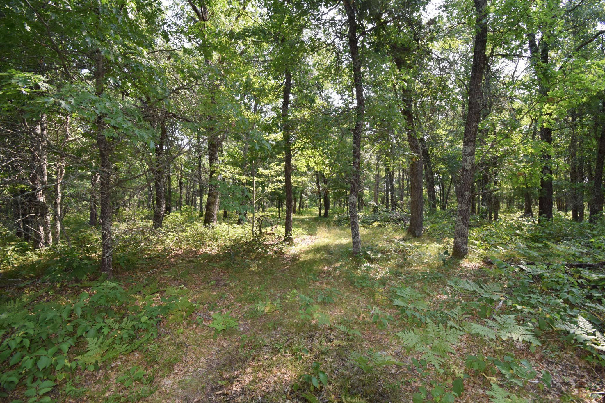 Lot 5 South Point TRL, Danbury, WI 54830