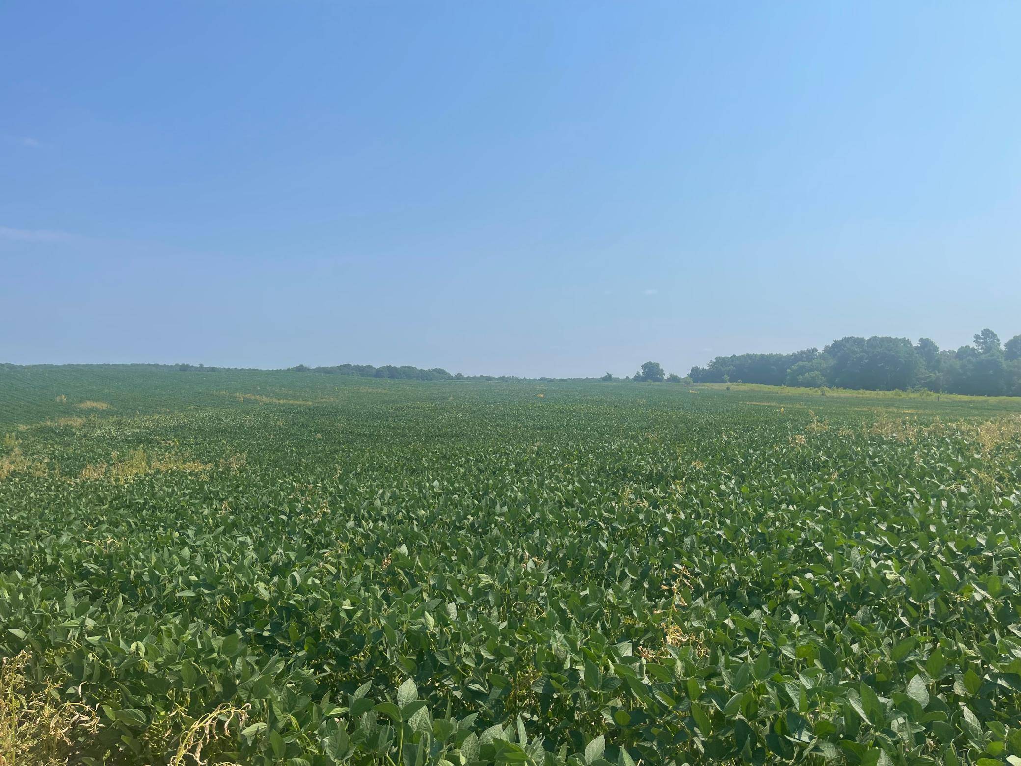 XXXX 190th Street, Centuria, WI 54824