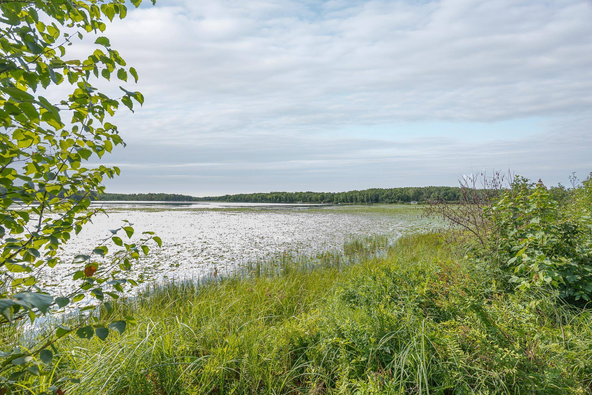 1089 8th ST NE, Pine River, MN 56474
