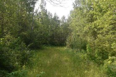 15690 330th ST, Mcgregor, MN 55760
