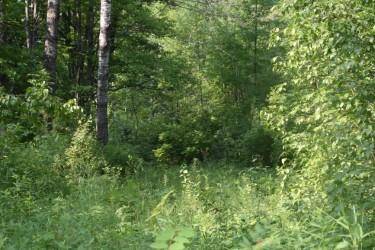 15690 330th ST, Mcgregor, MN 55760