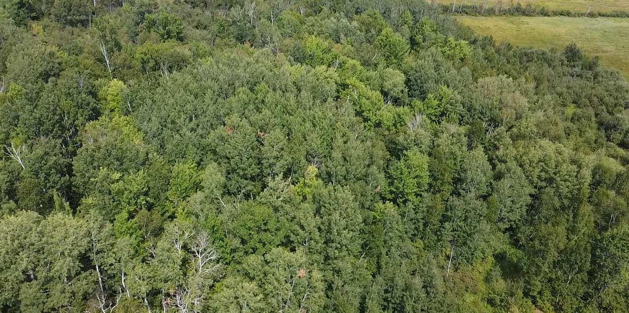 38880 Kestrel AVE, Mcgregor, MN 55760