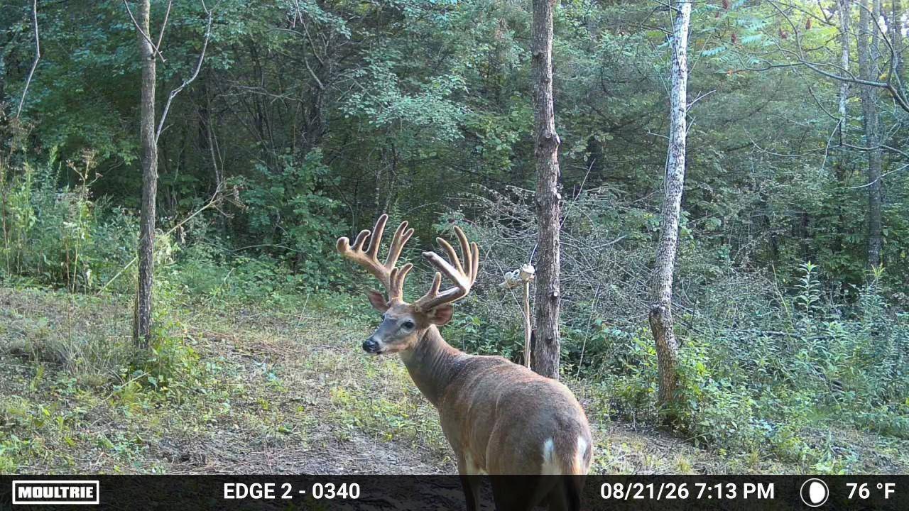 15XXX Welch Short Cut, Welch, MN 55089
