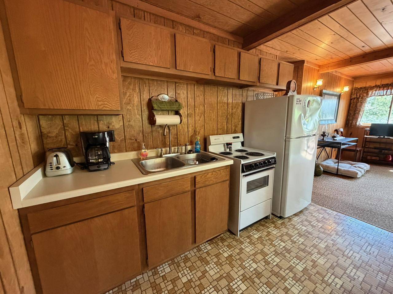 95108 Gold IS, Tower, MN 55790