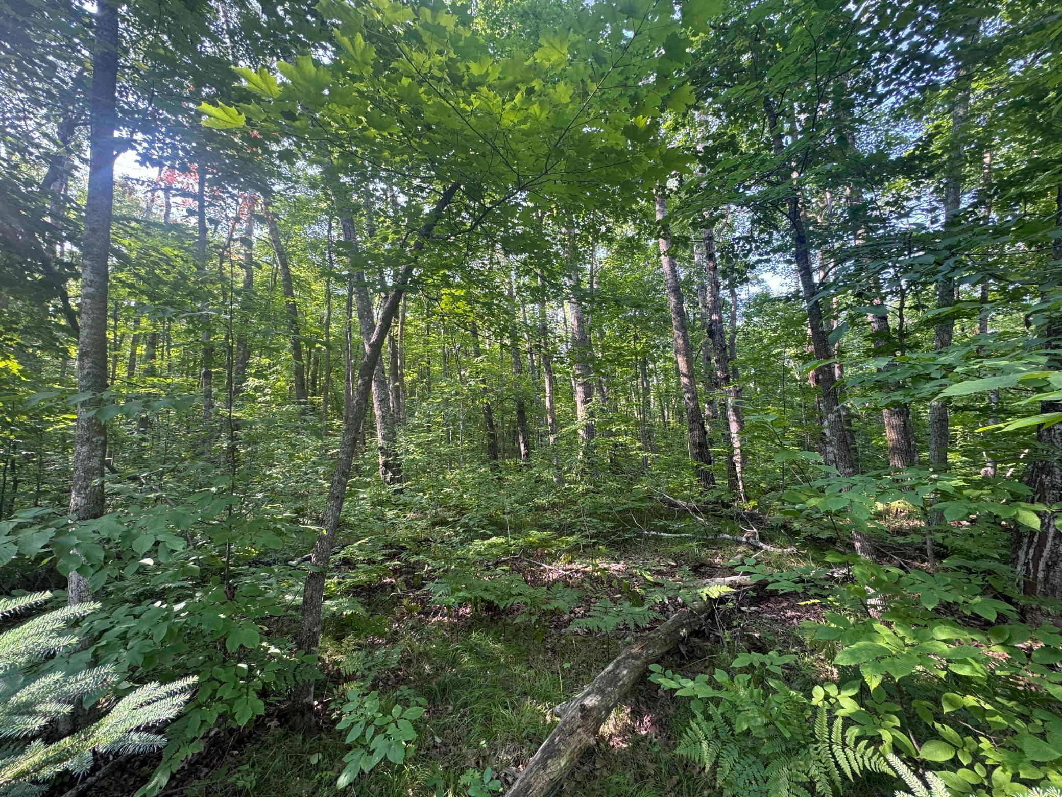 TBD Howard Lake RD NW, Akeley, MN 56433
