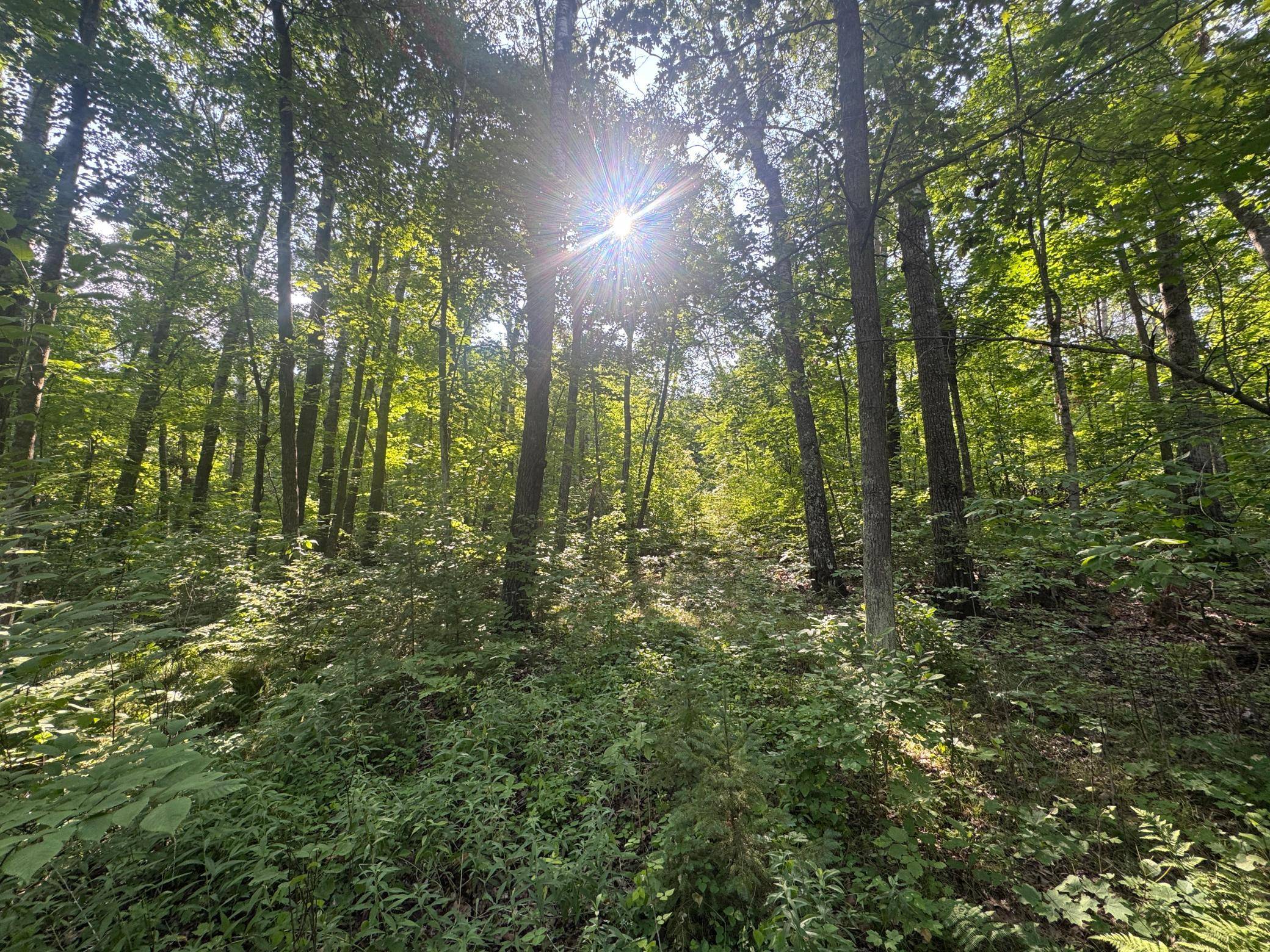 TBD Howard Lake RD NW, Akeley, MN 56433