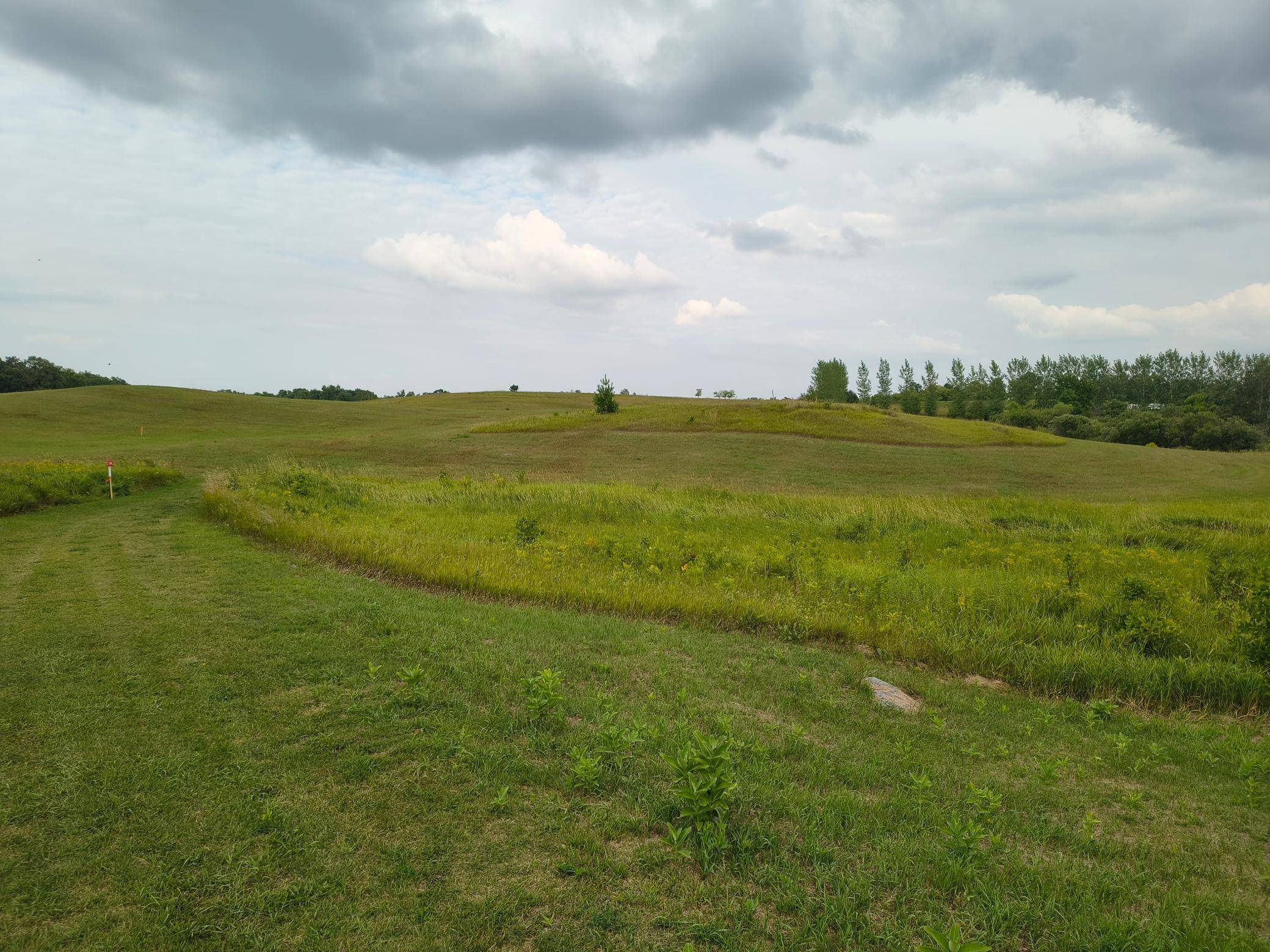 3401 Buckskin RD NE, Carlos, MN 56319